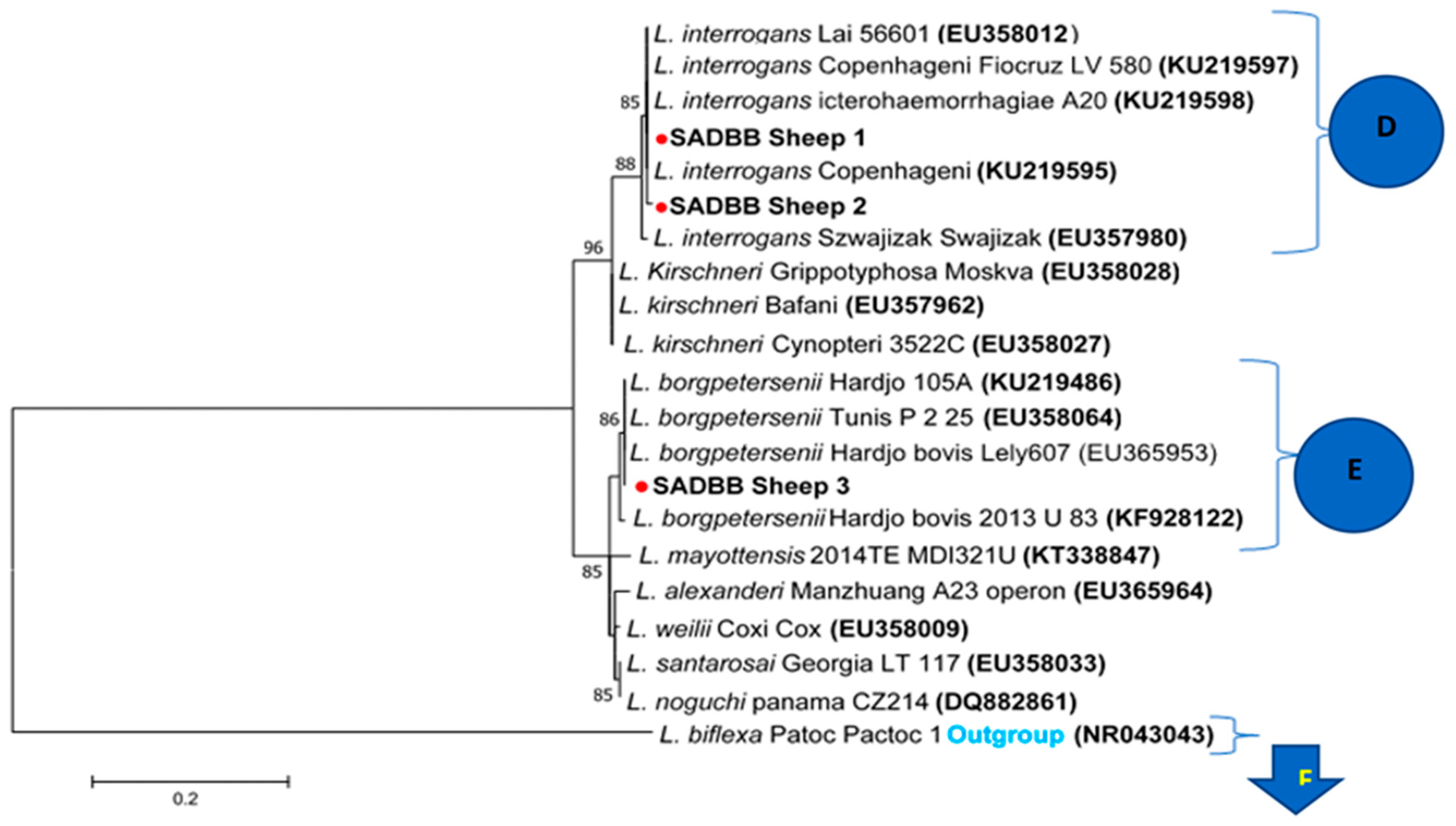 Pathogens 12 00666 g005
