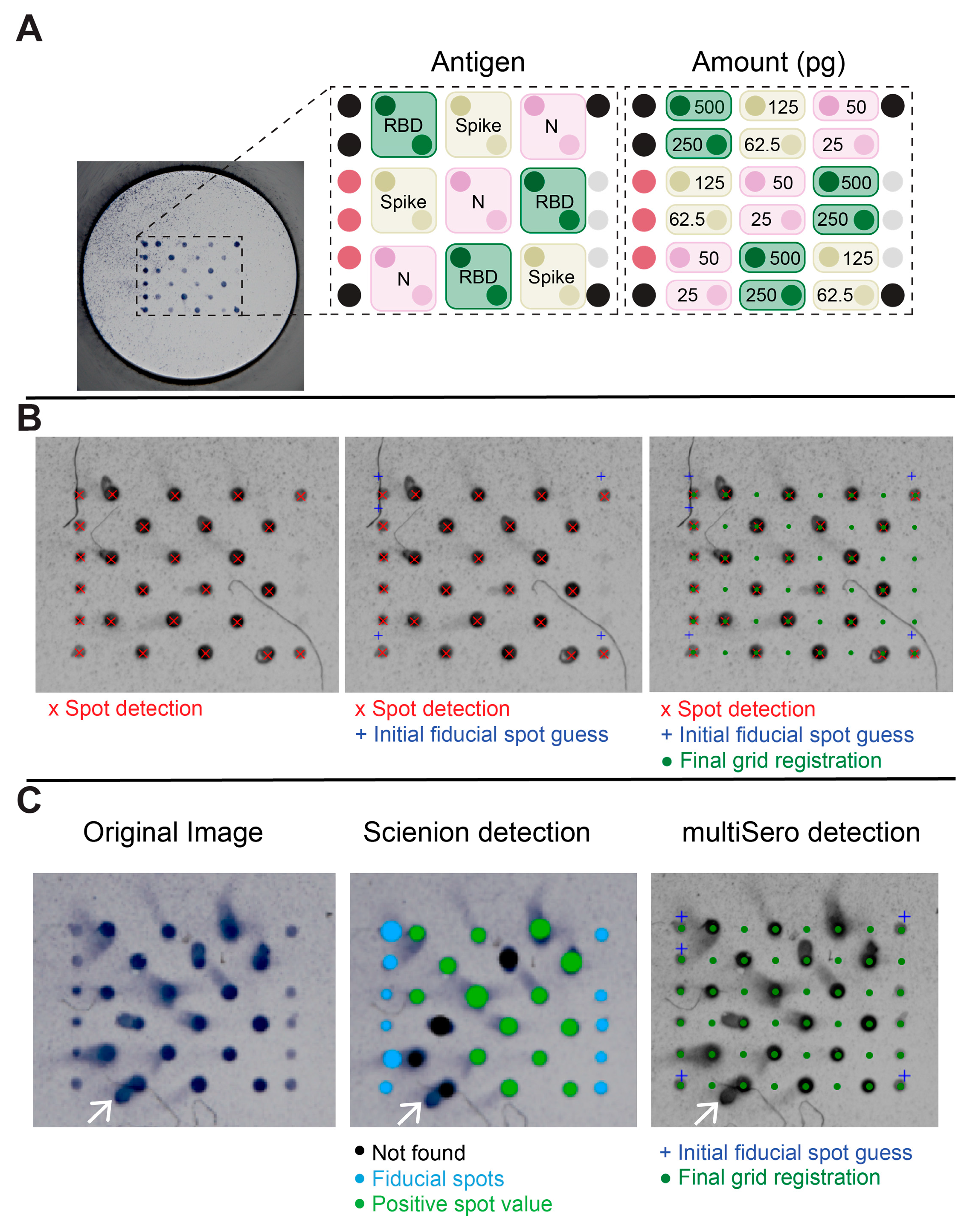 Pathogens 12 00671 g003