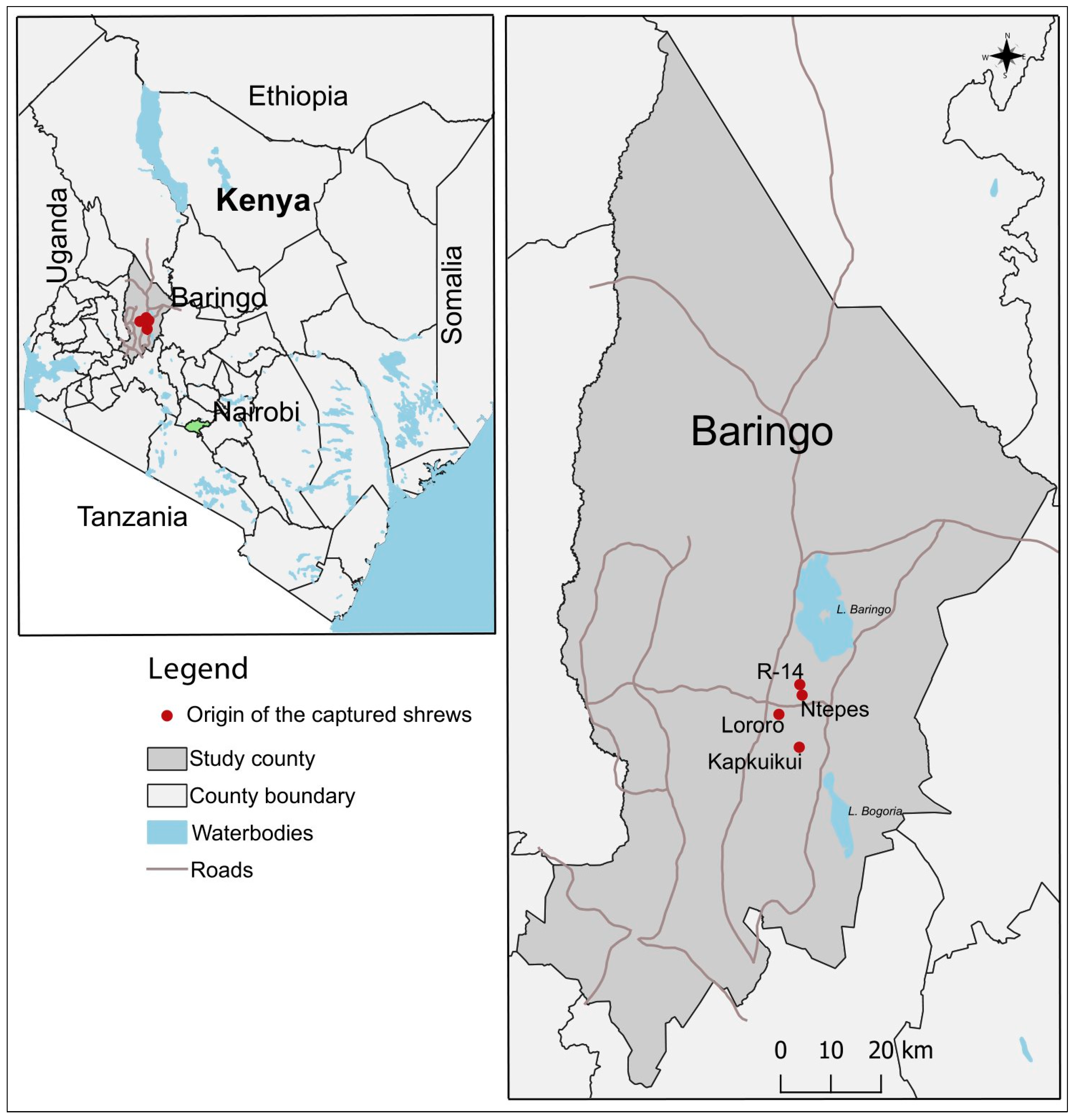 Pathogens 12 00685 g001 Pathogens 12 00685 g001