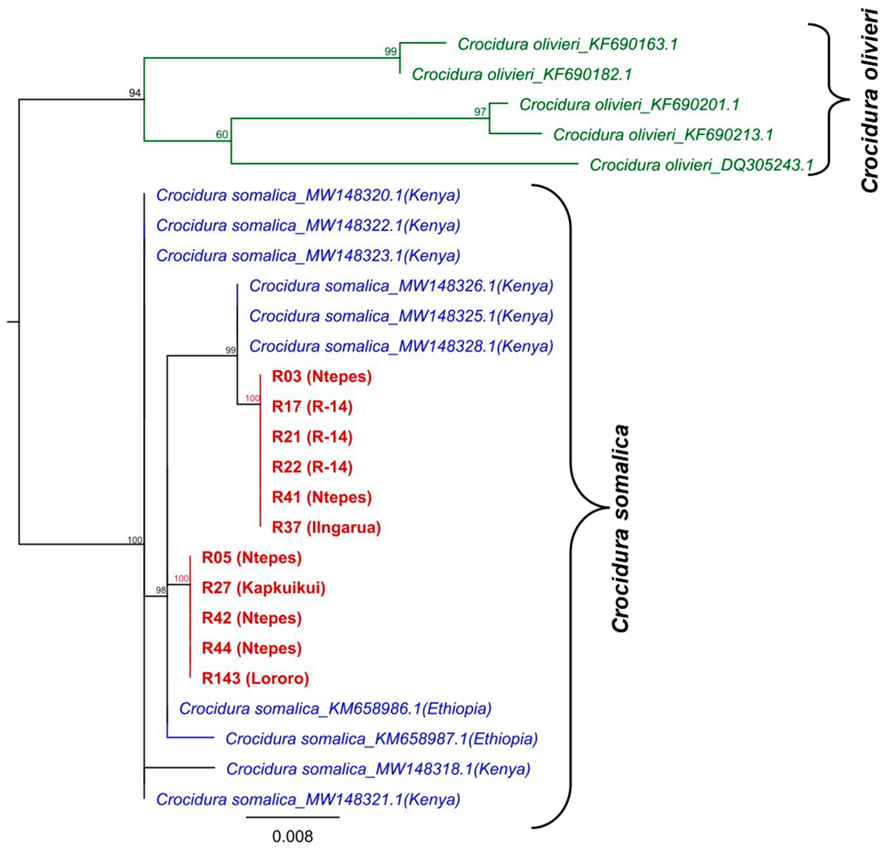 Pathogens 12 00685 g003 Pathogens 12 00685 g003