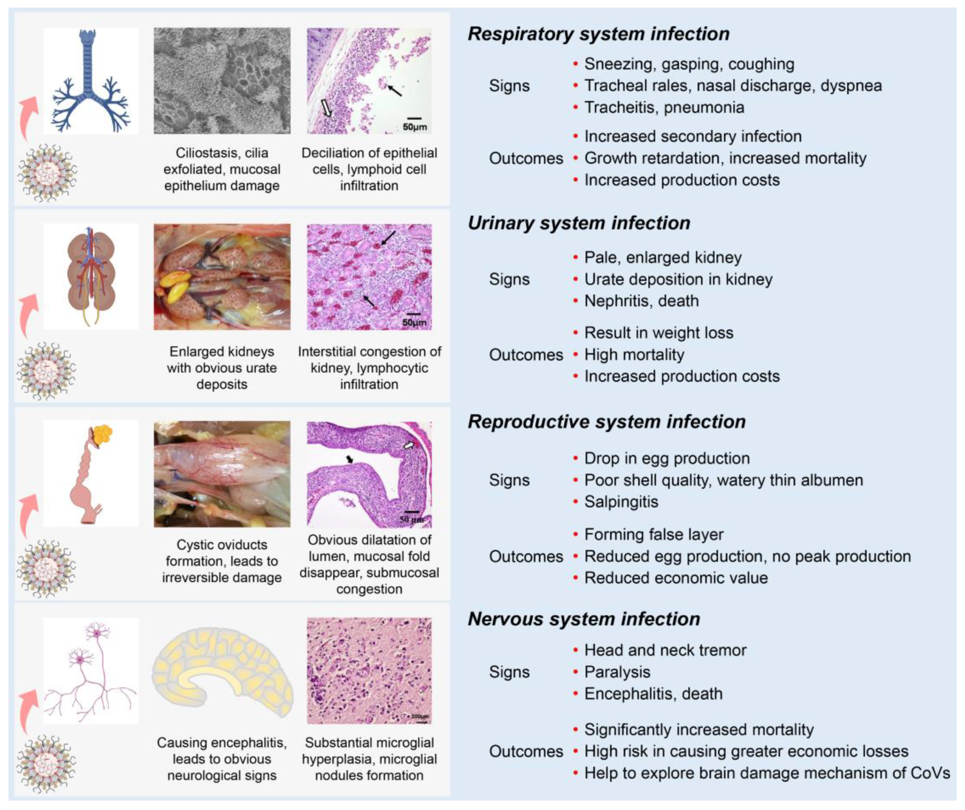 Pathogens 12 00698 g003