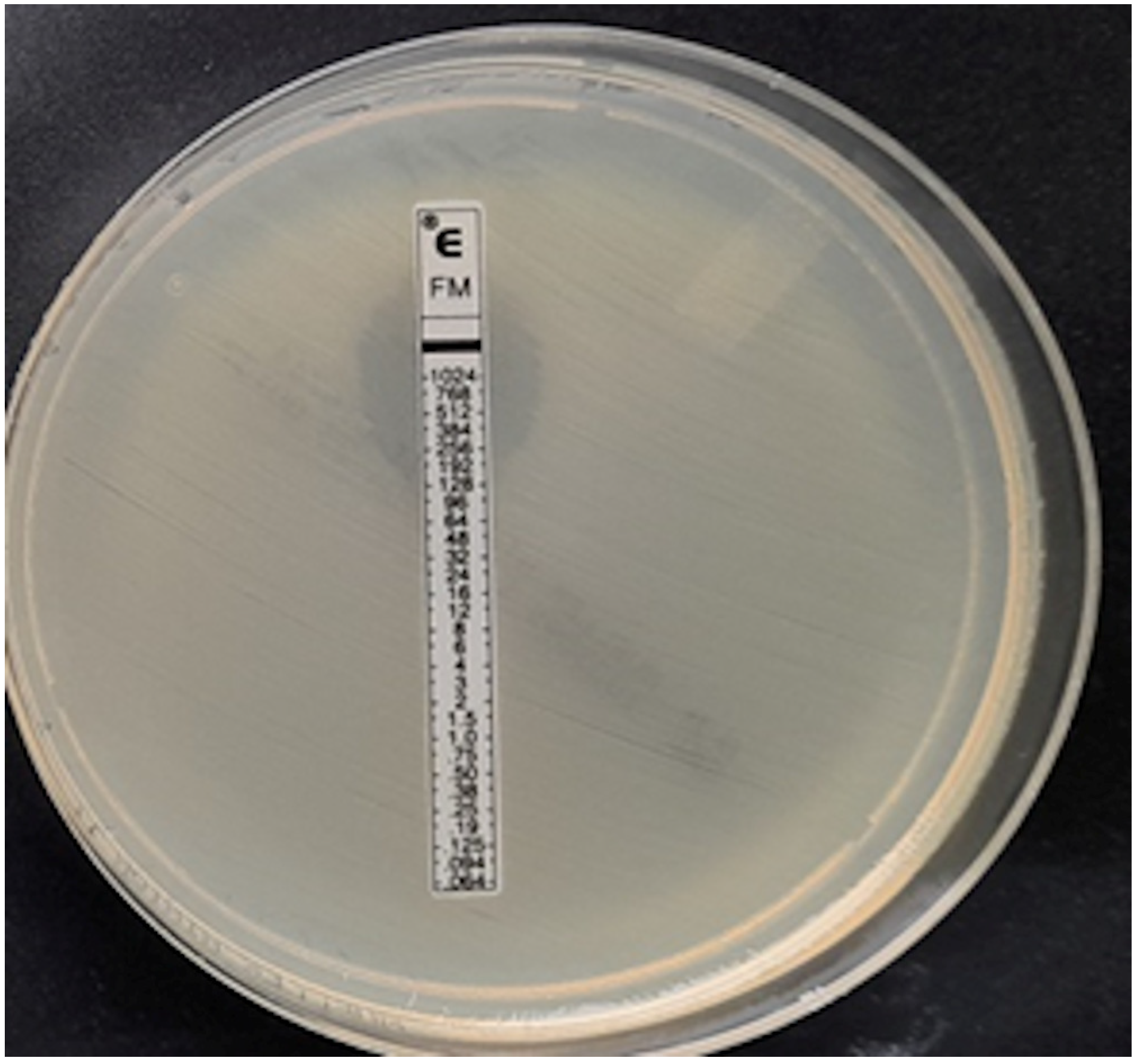 Pathogens 12 00700 g005