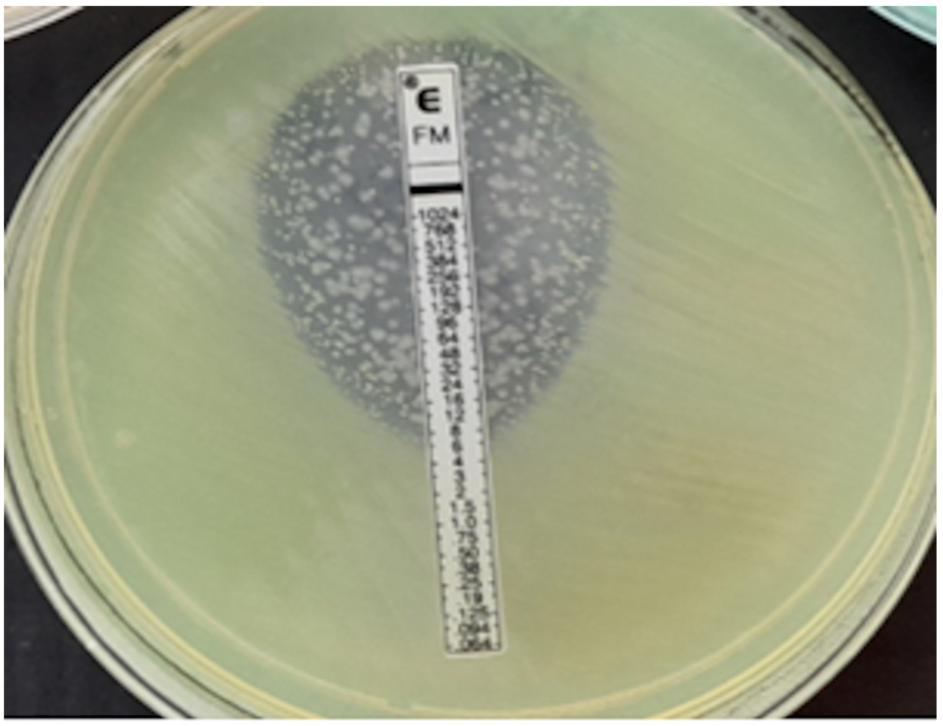 Pathogens 12 00700 g006