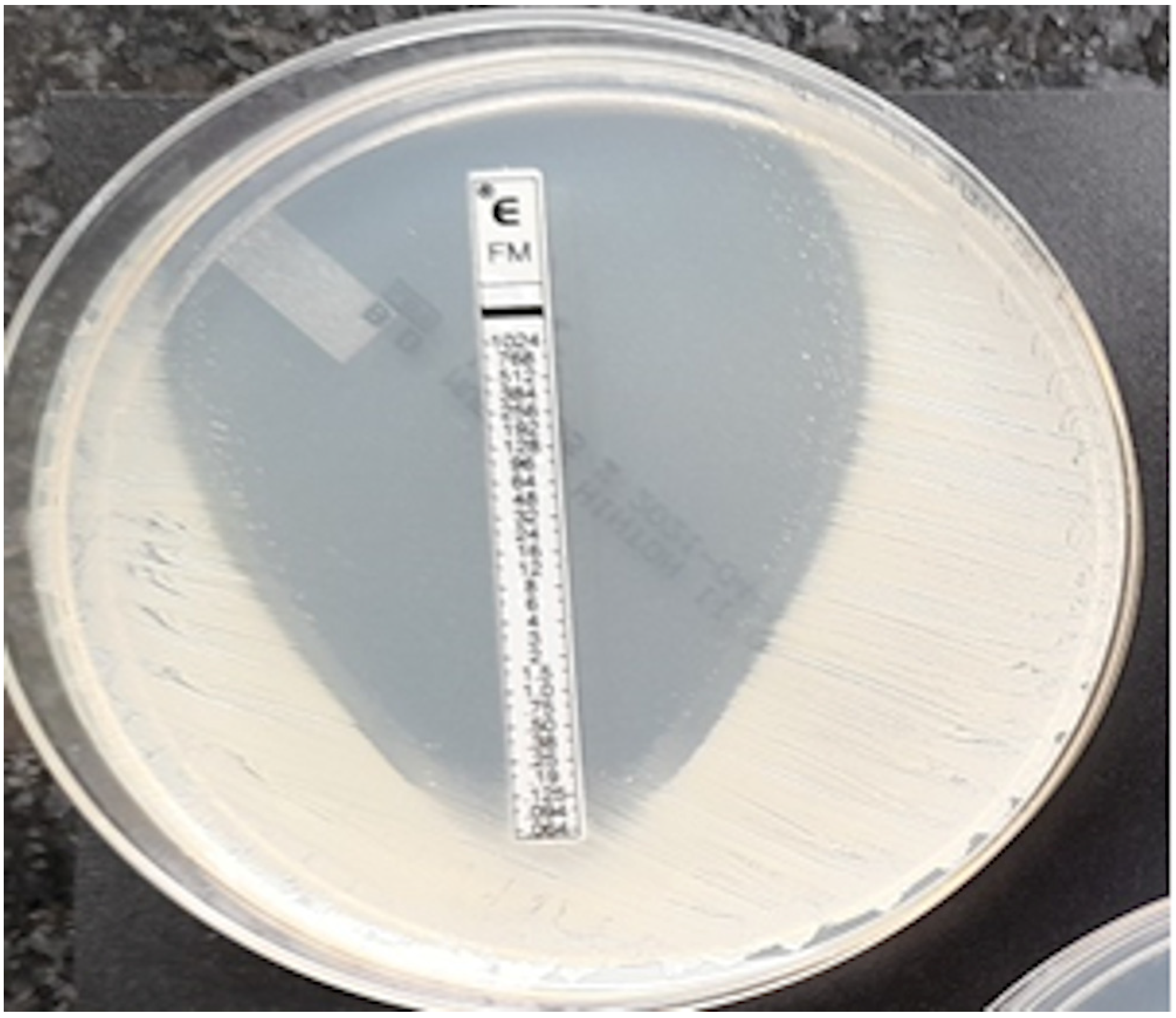 Pathogens 12 00700 g007