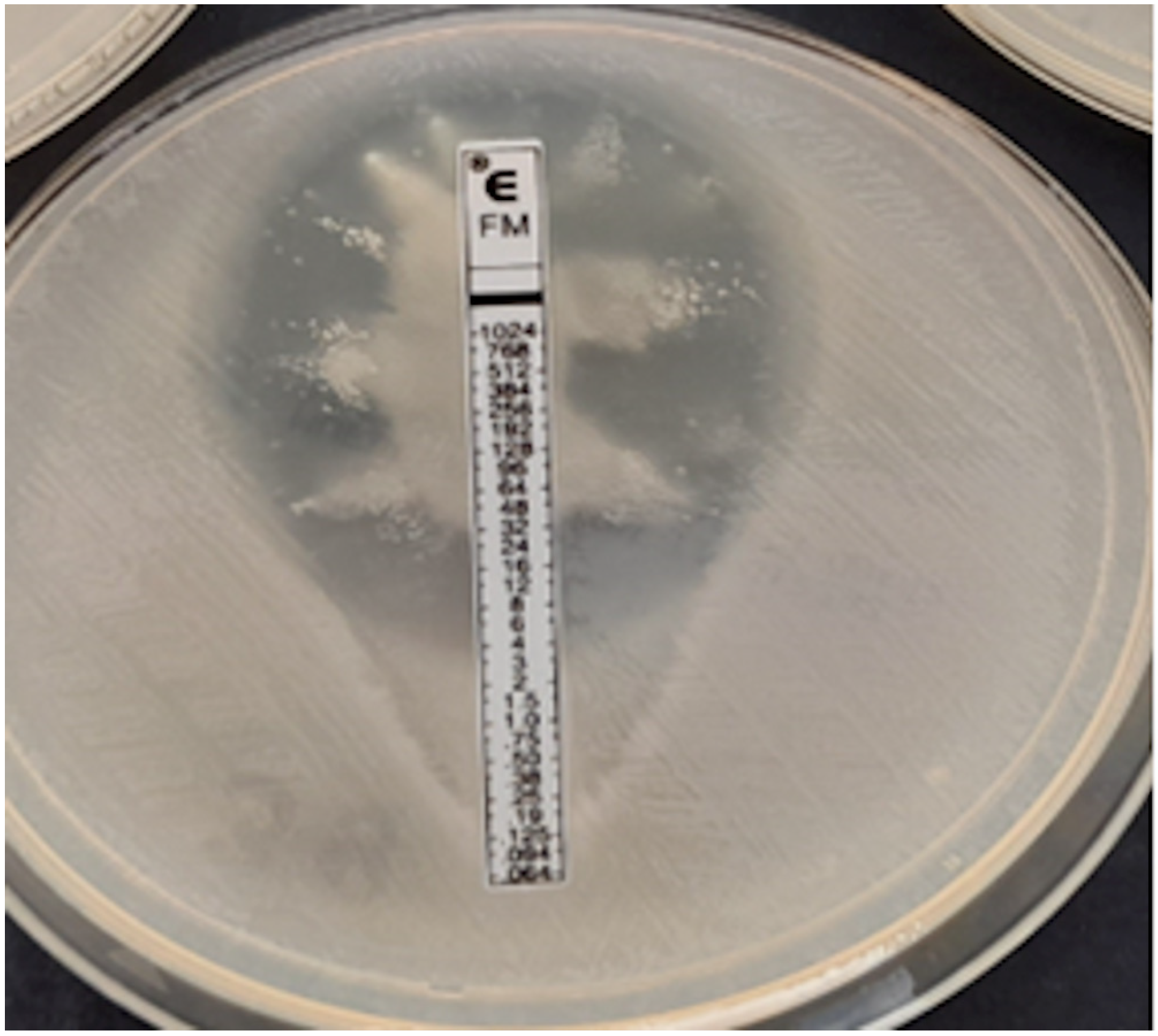 Pathogens 12 00700 g008