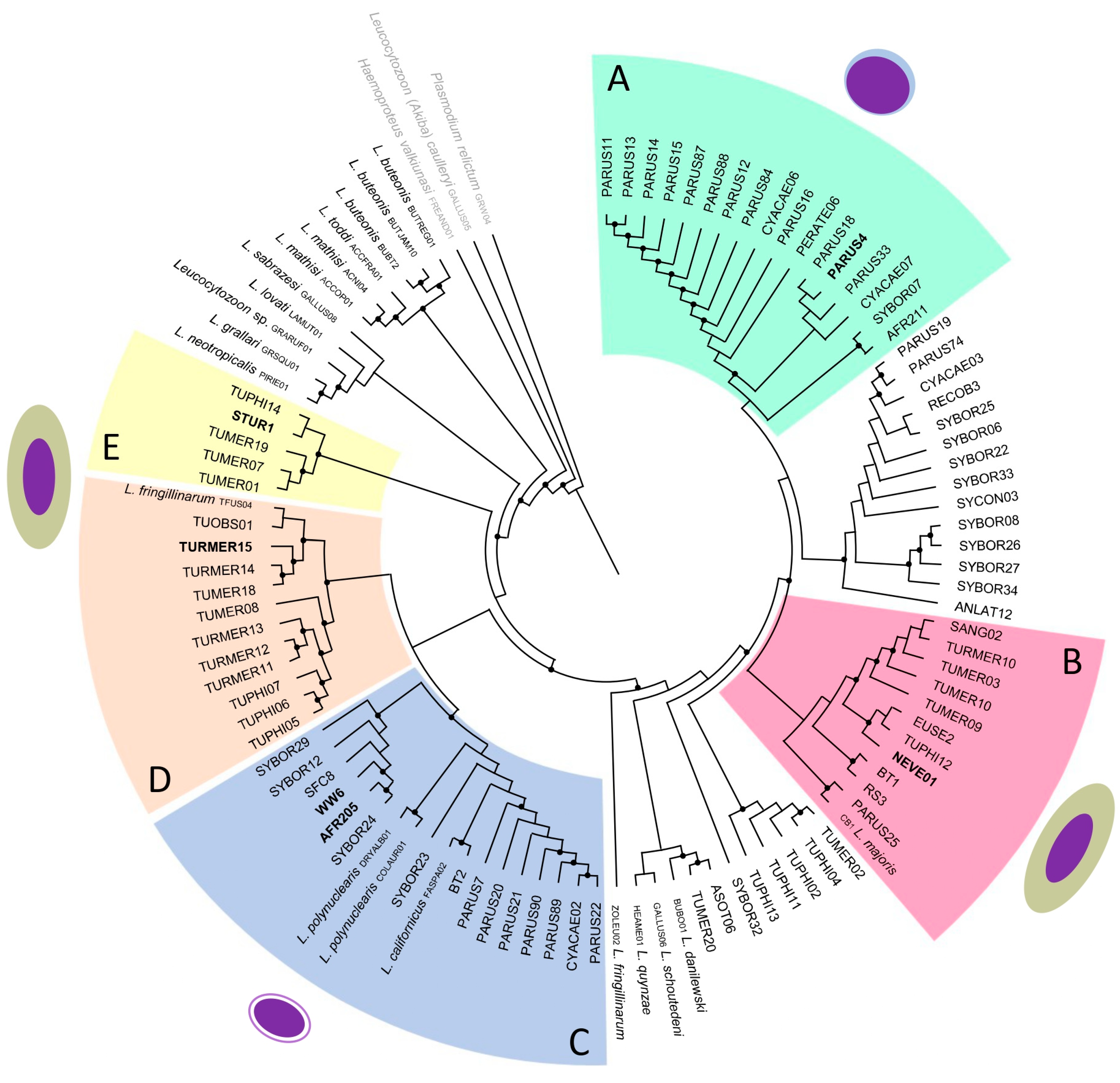 Pathogens 12 00712 g003 Pathogens 12 00712 g003