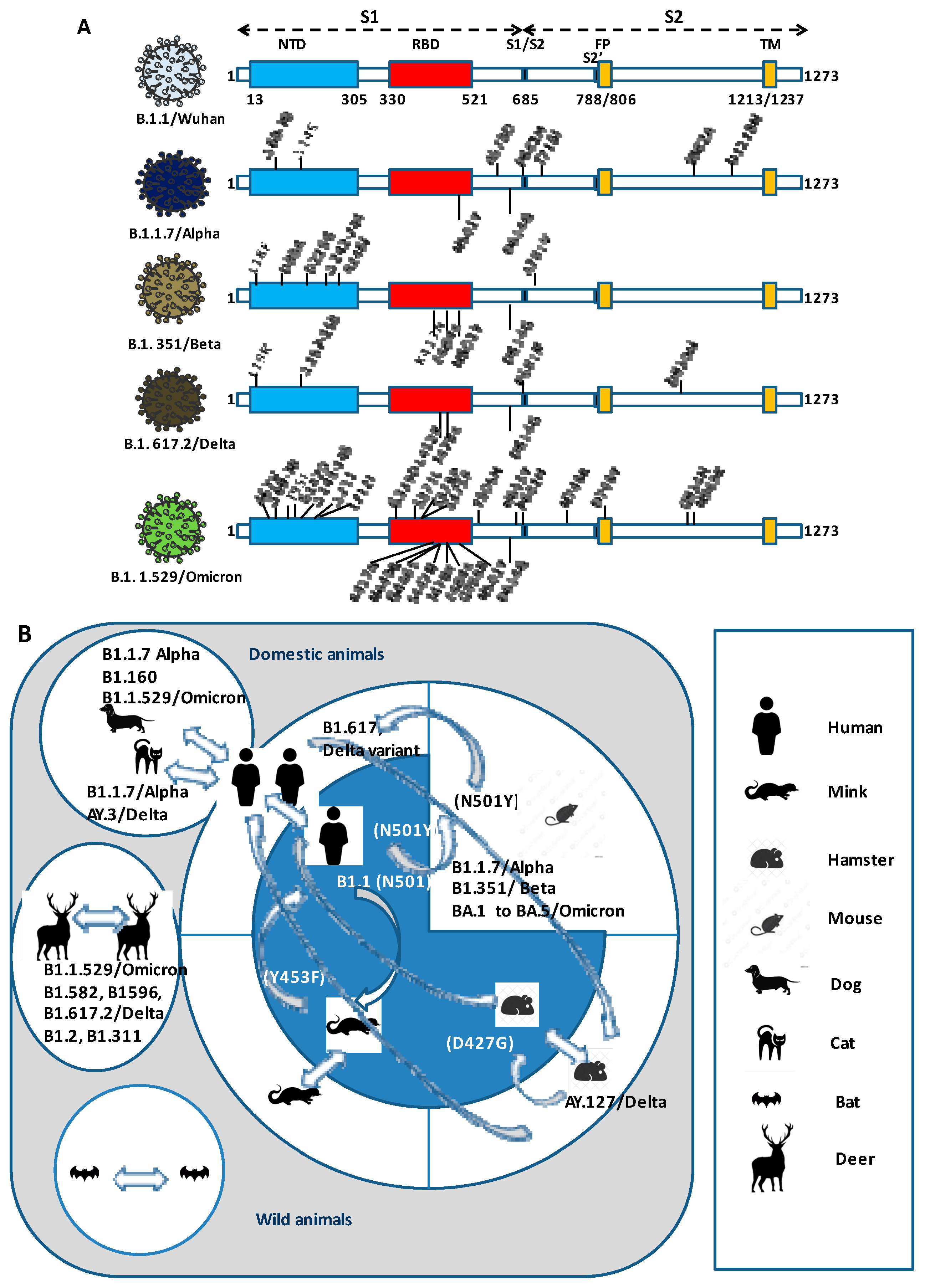 Pathogens 12 00713 g003 Pathogens 12 00713 g003