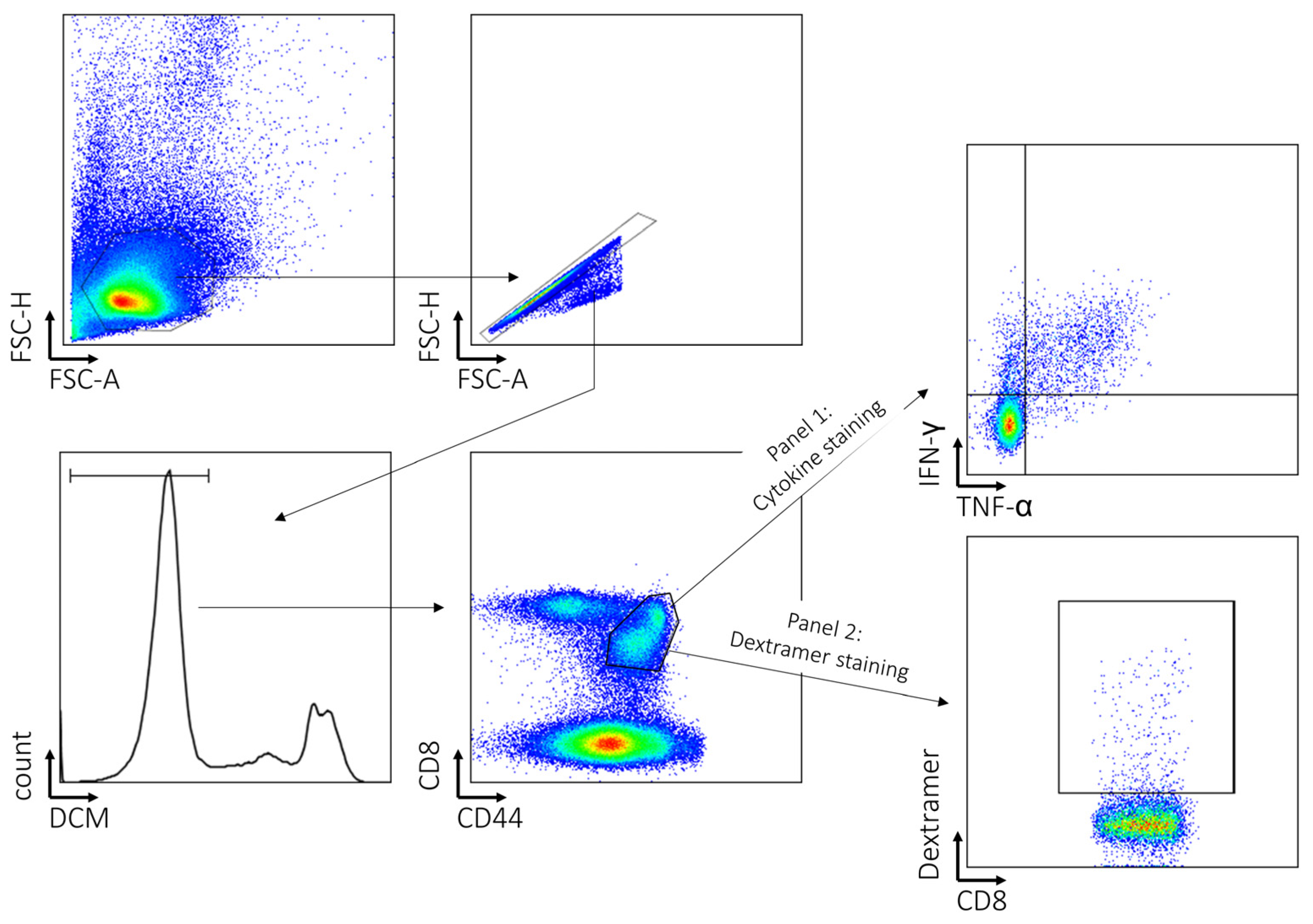 Pathogens 12 00716 g0a1 Pathogens 12 00716 g0a1