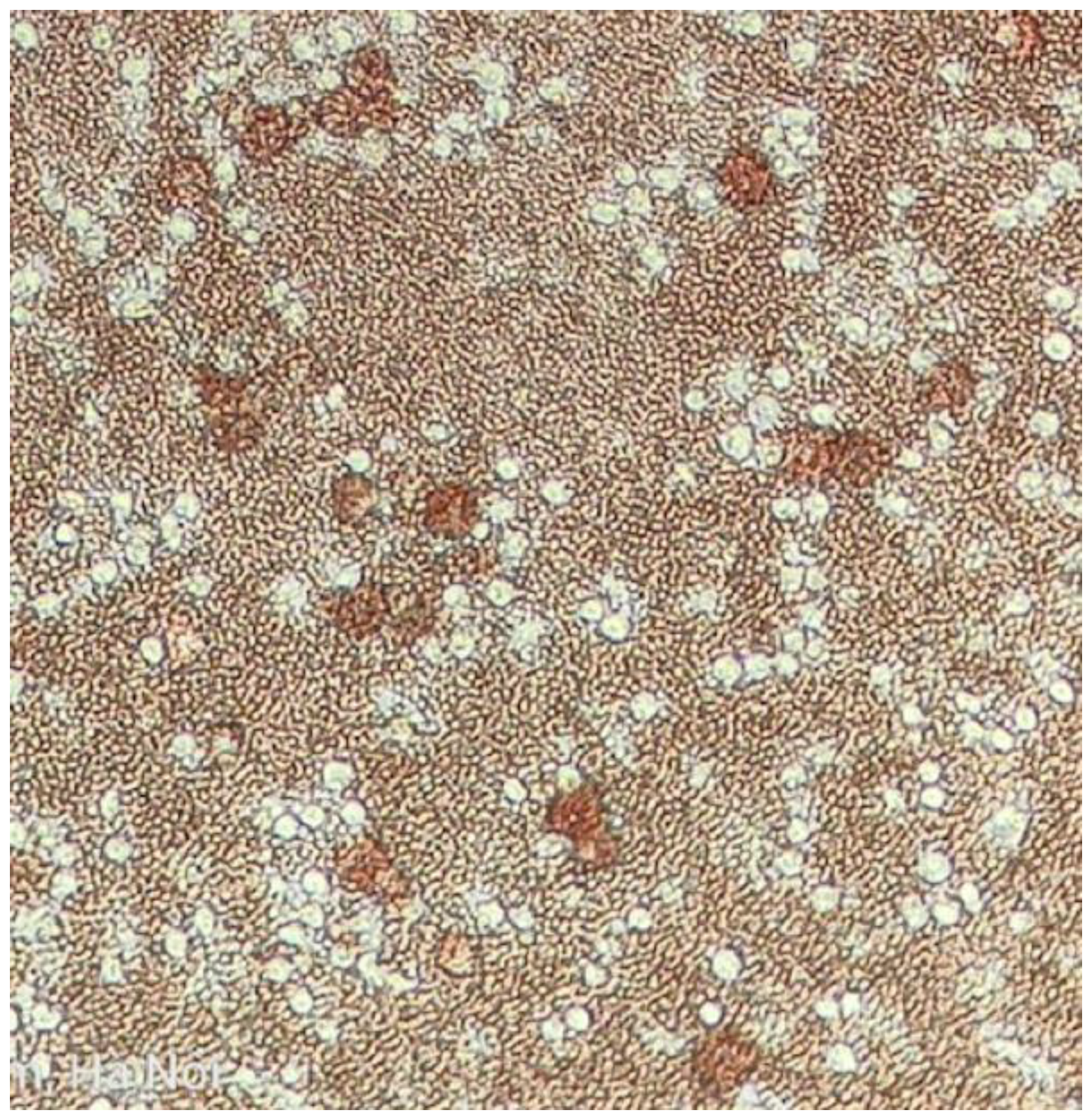 Pathogens 12 00721 g005 Pathogens 12 00721 g005