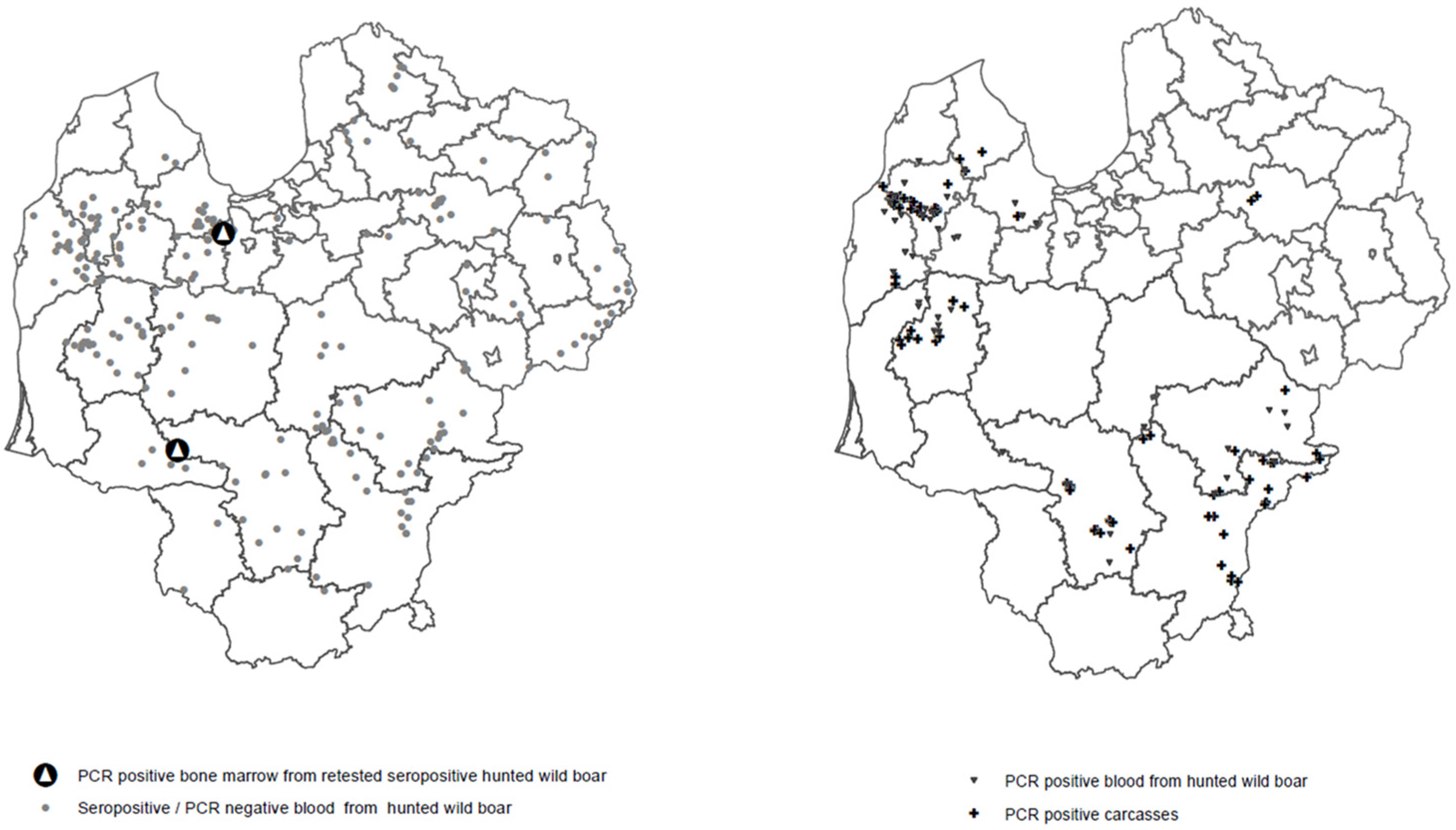 Pathogens 12 00723 g001