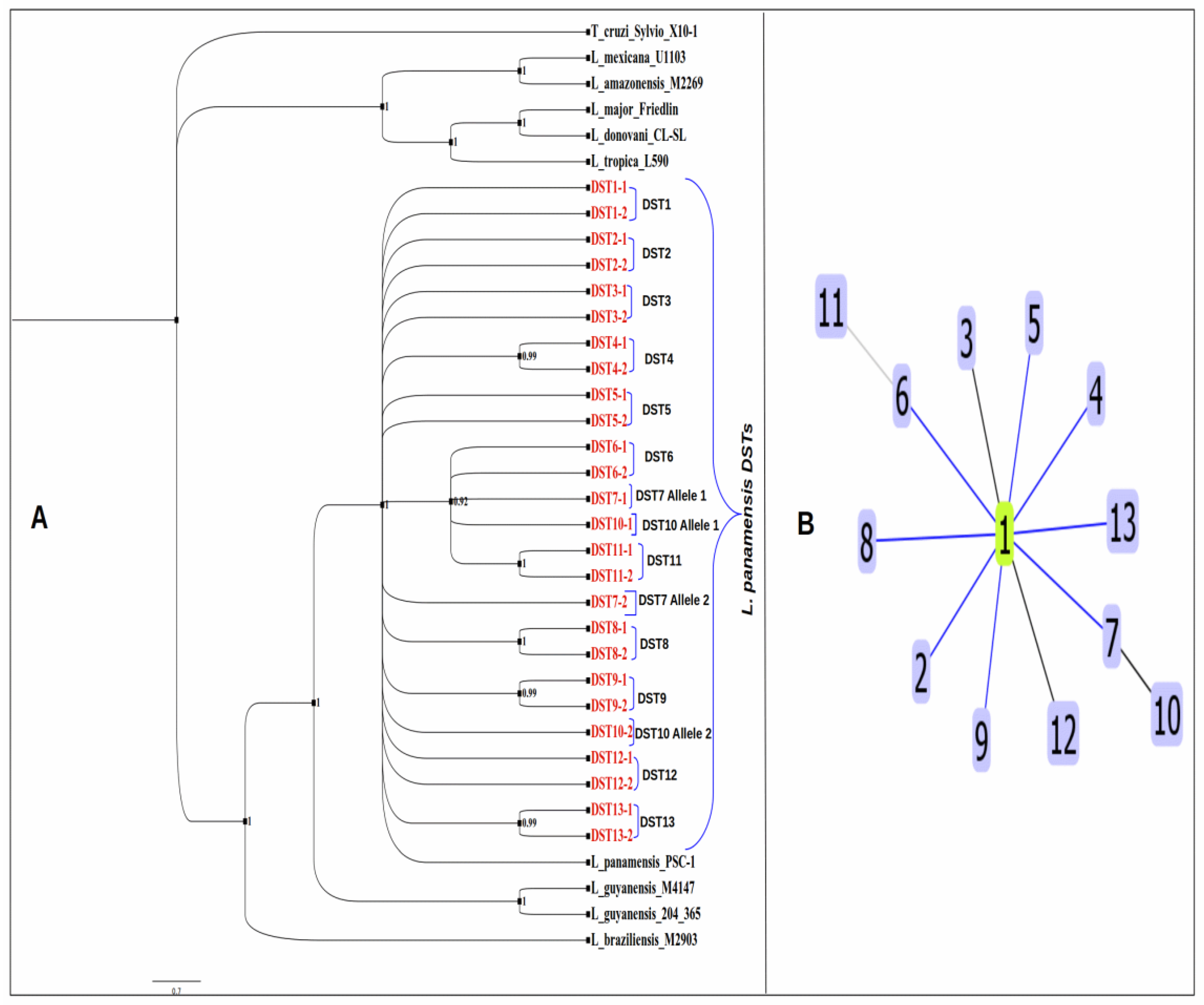 Pathogens 12 00747 g003 Pathogens 12 00747 g003