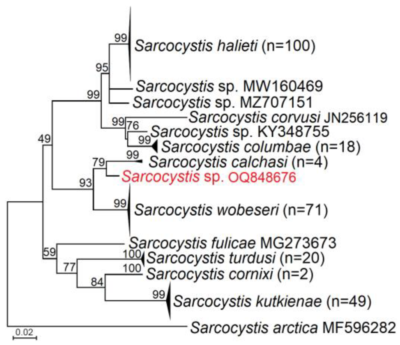 Pathogens 12 00752 g002