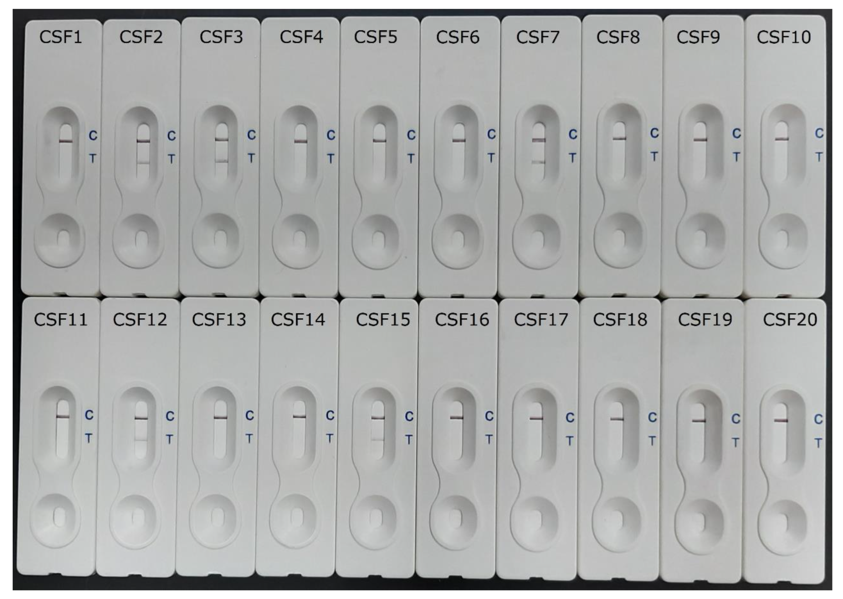 Pathogens 12 00762 g001