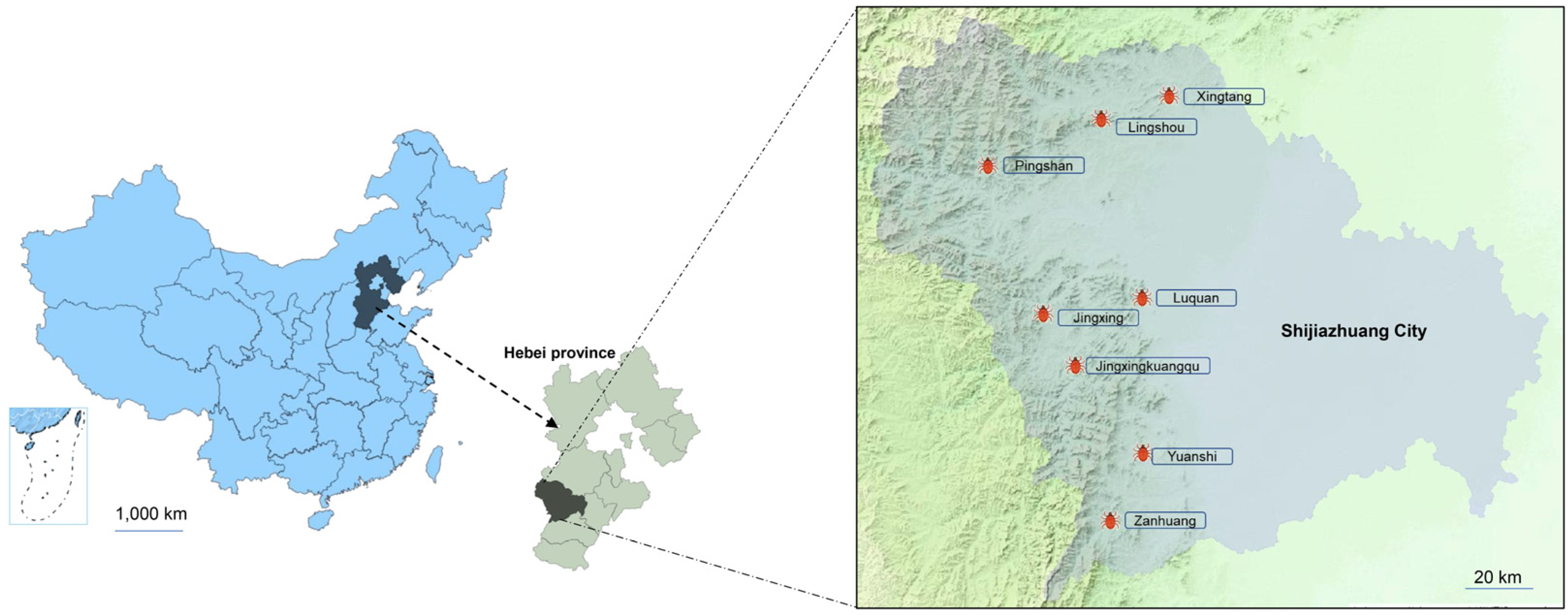Pathogens 12 00763 g001 Pathogens 12 00763 g001