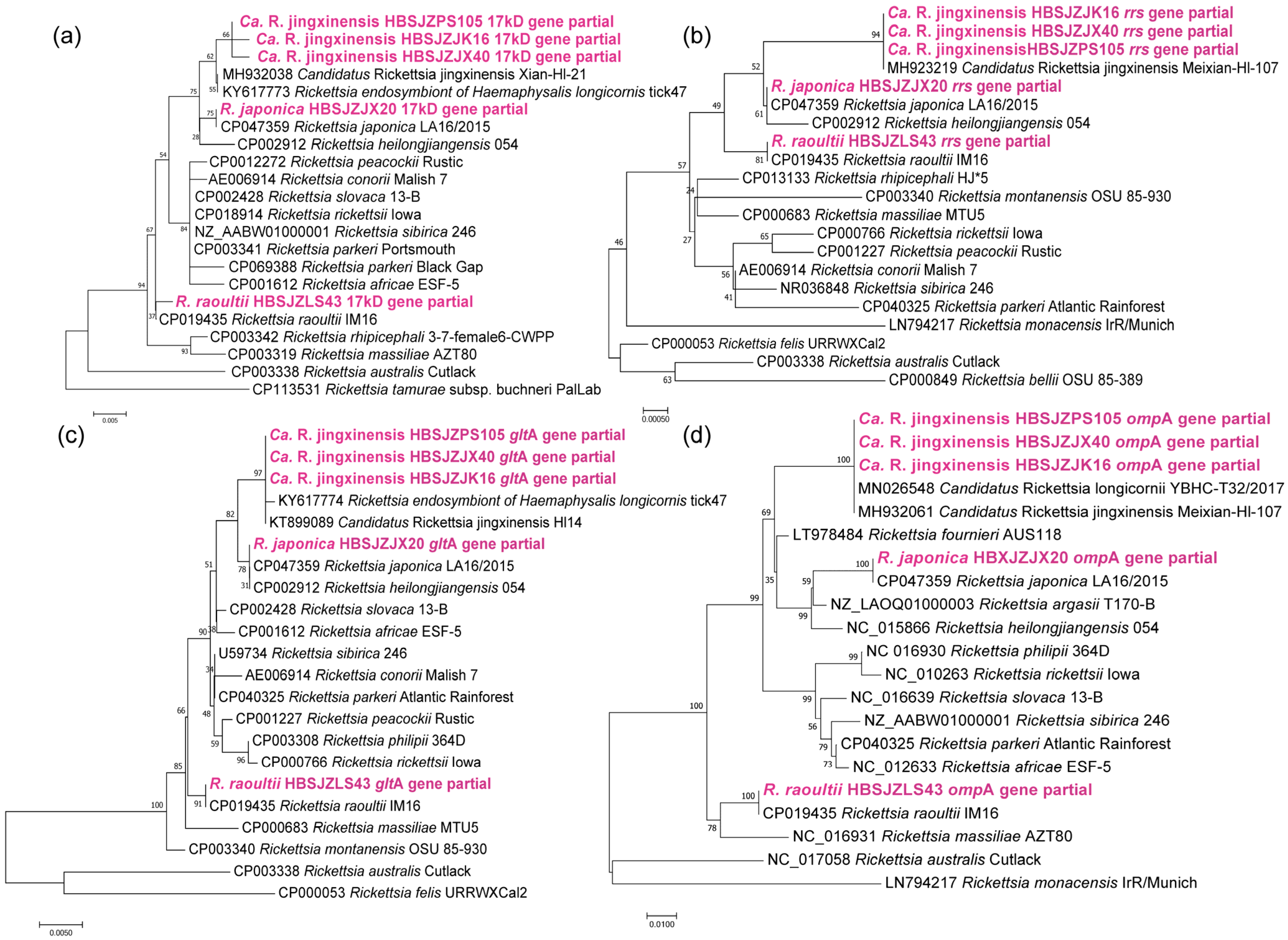 Pathogens 12 00763 g002 Pathogens 12 00763 g002