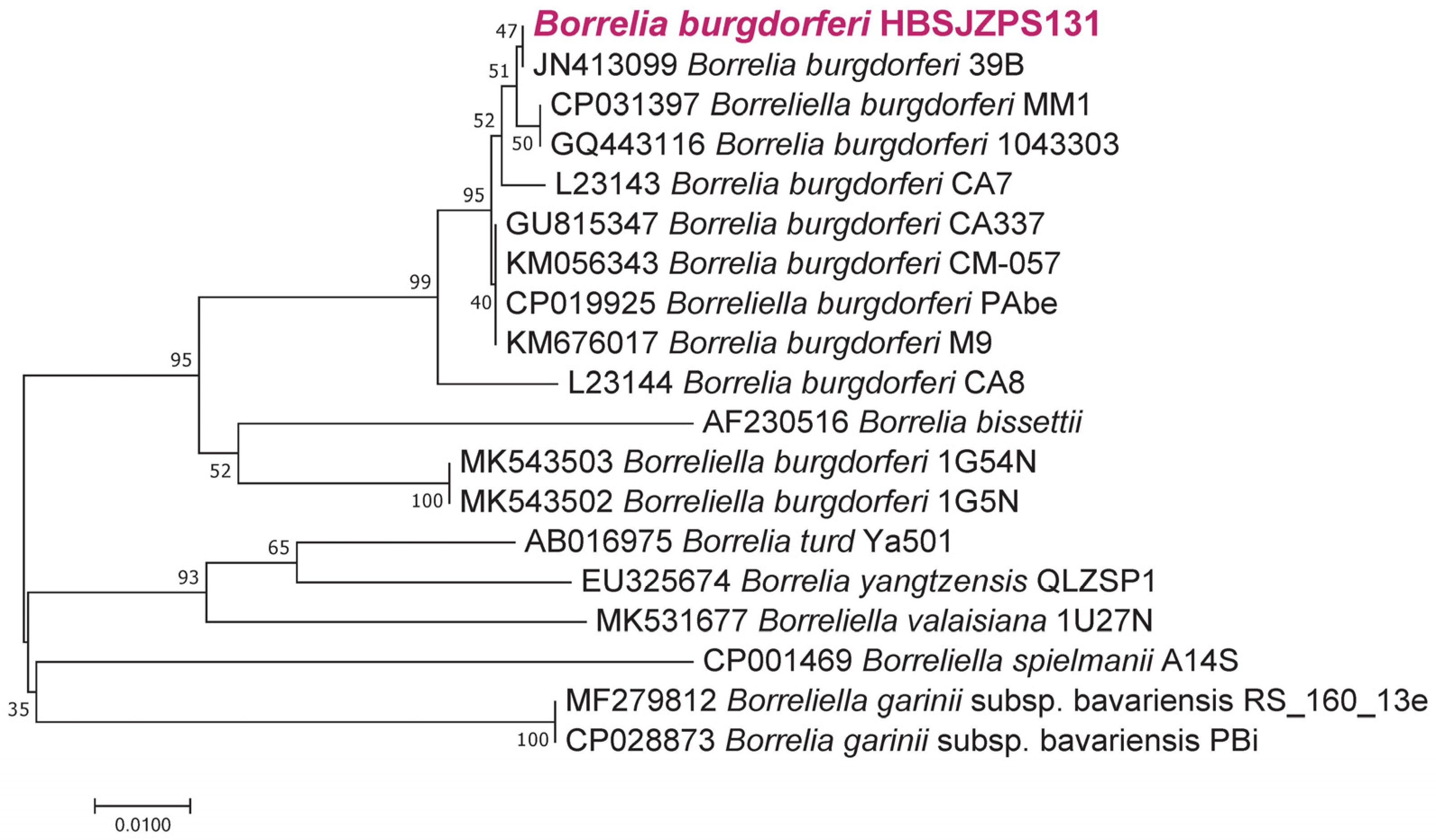 Pathogens 12 00763 g005 Pathogens 12 00763 g005