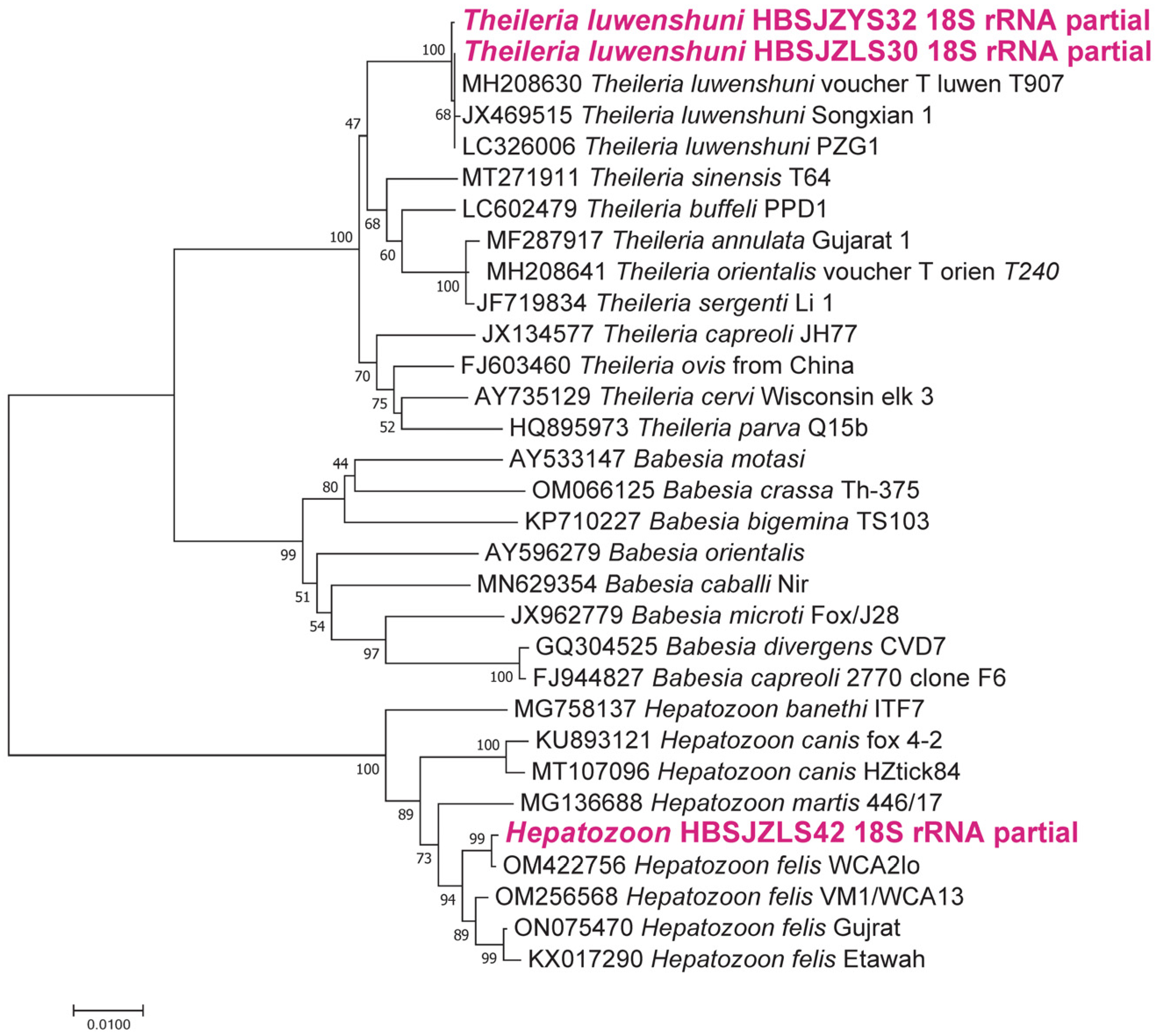 Pathogens 12 00763 g006 Pathogens 12 00763 g006