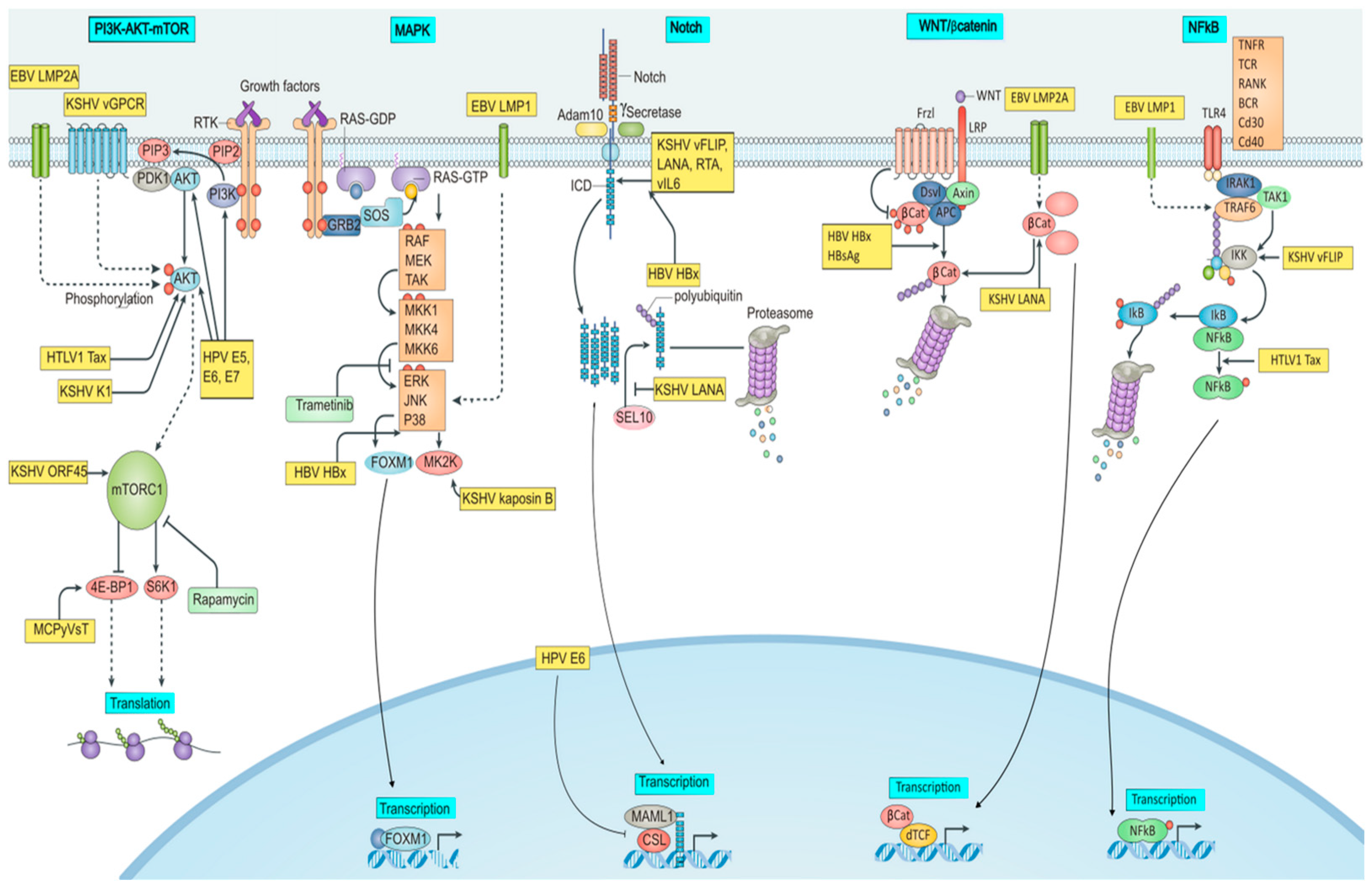 Pathogens 12 00770 g001