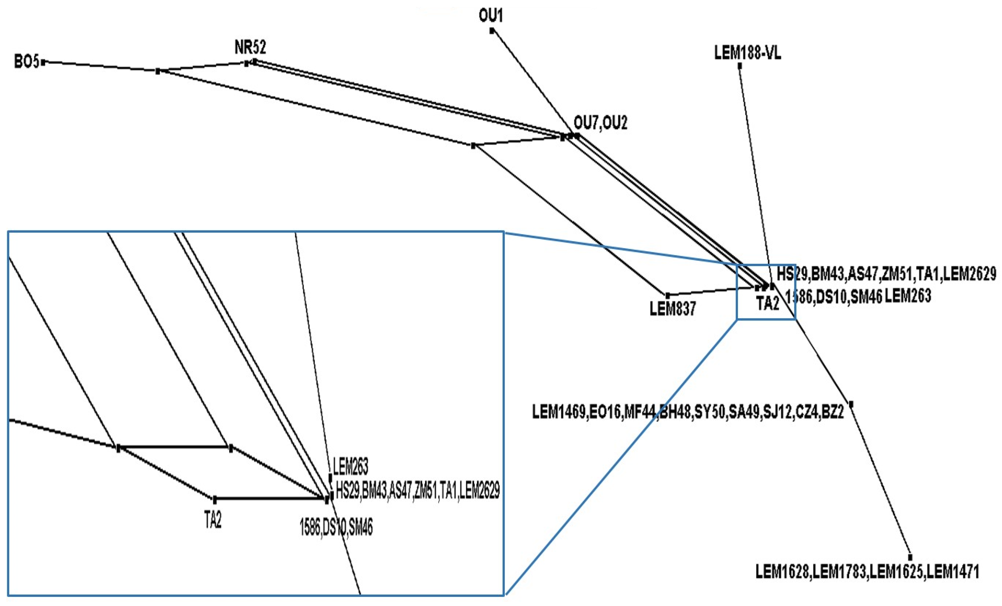 Pathogens 12 00785 g004