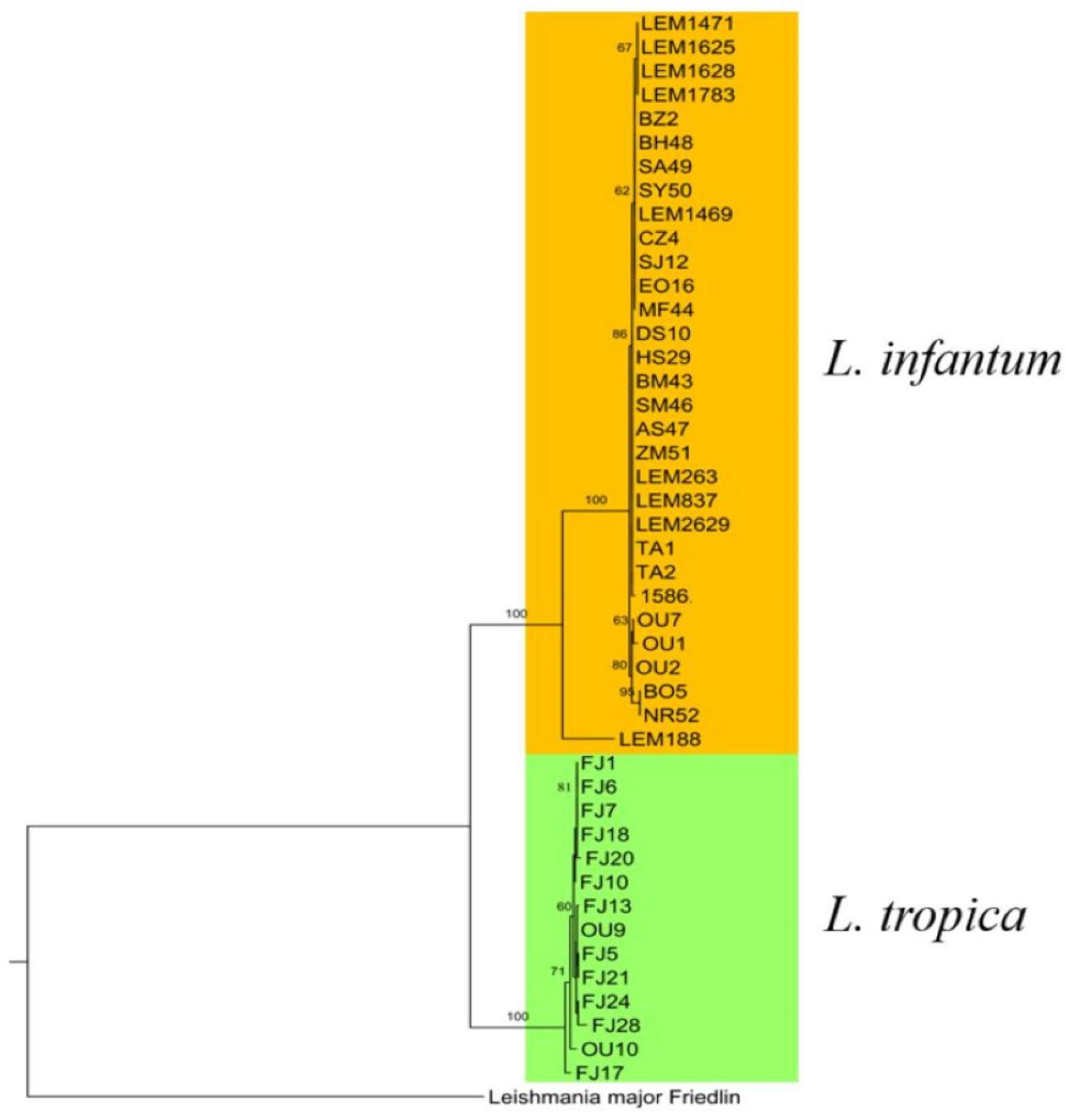 Pathogens 12 00785 g006