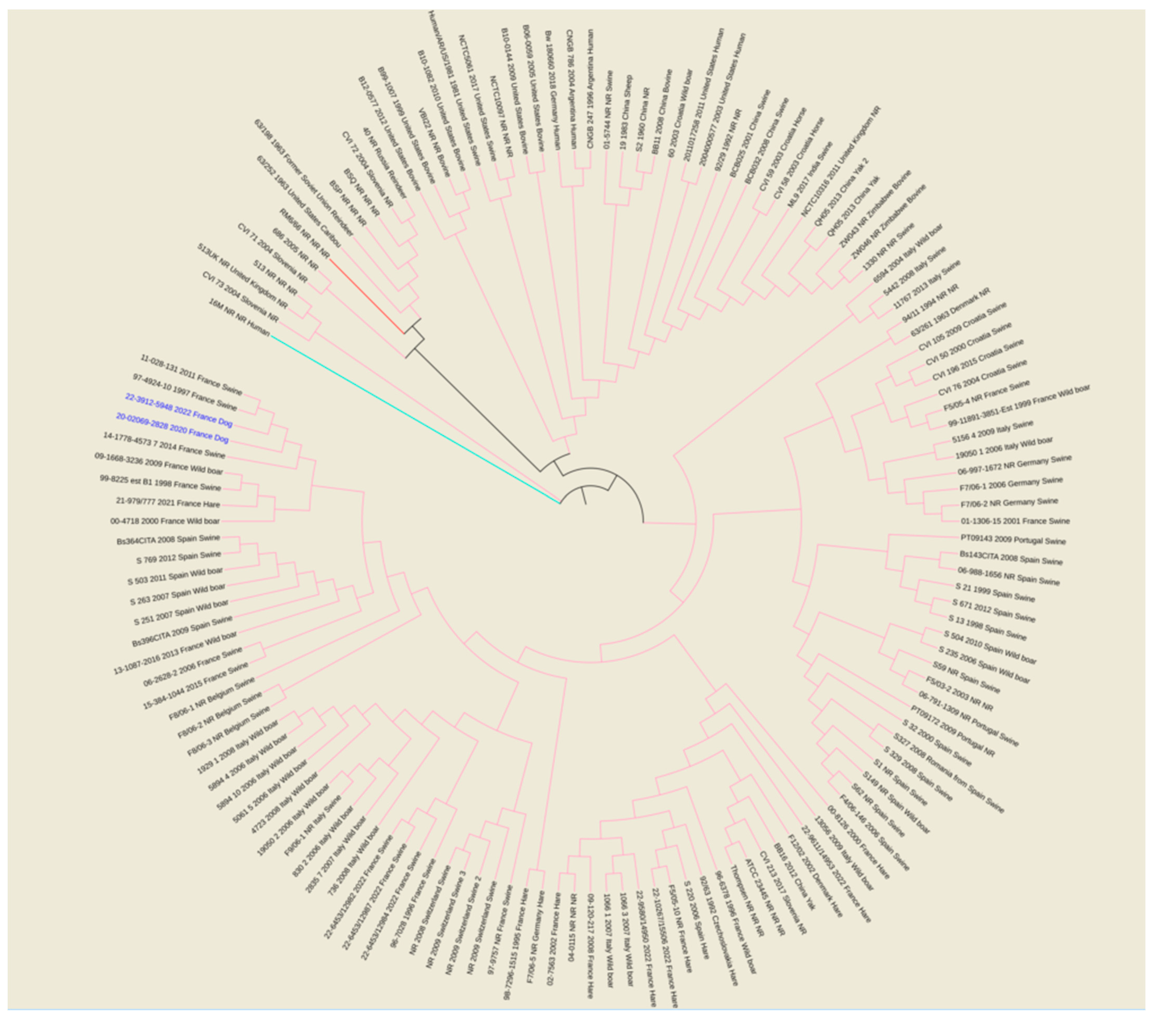 Pathogens 12 00792 g002 Pathogens 12 00792 g002