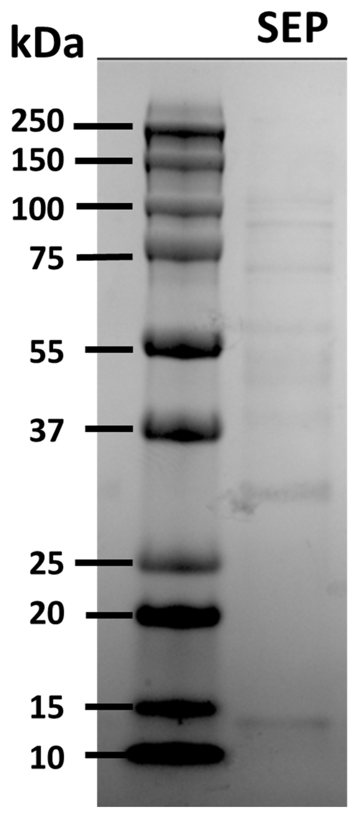 Pathogens 12 00808 g001 Pathogens 12 00808 g001
