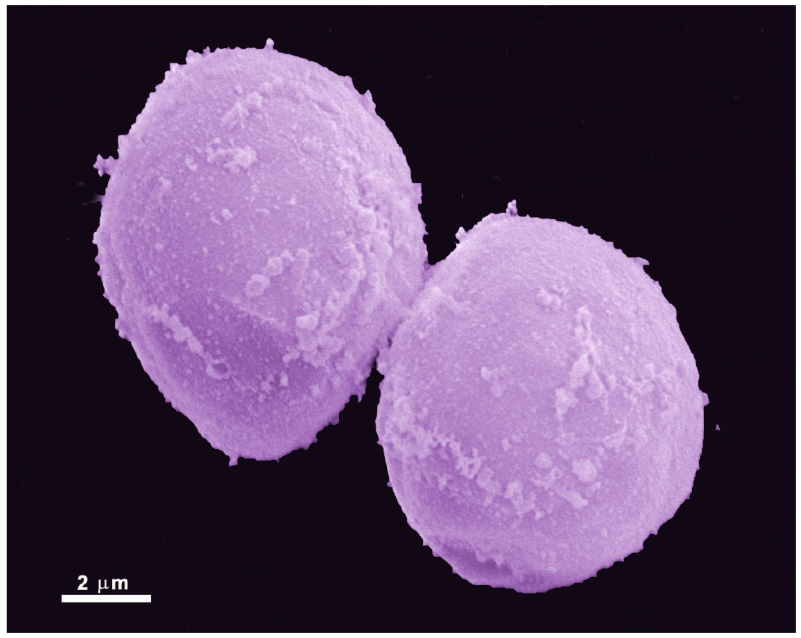 Pathogens 12 00810 g004