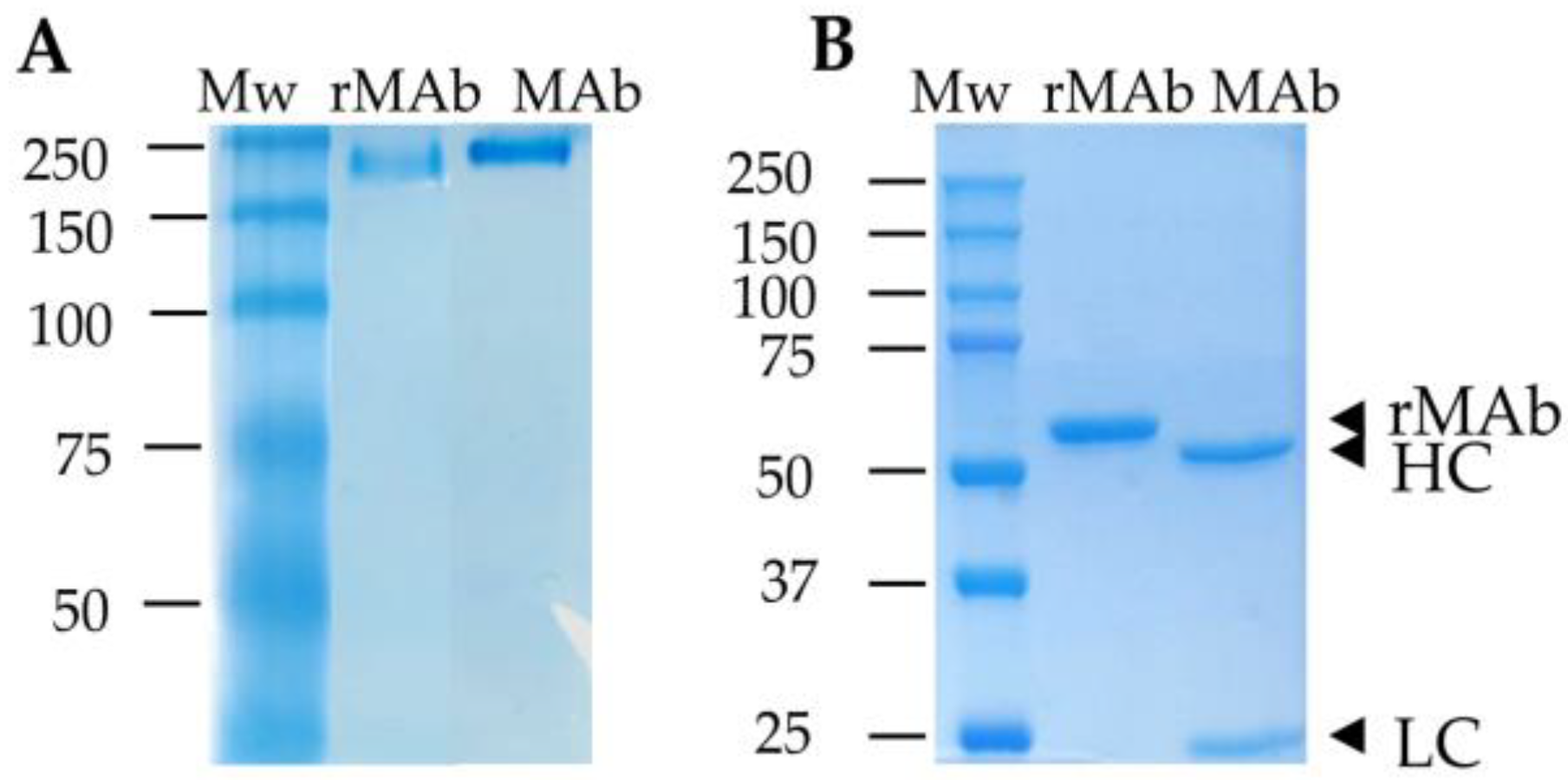 Pathogens 12 00811 g001 Pathogens 12 00811 g001