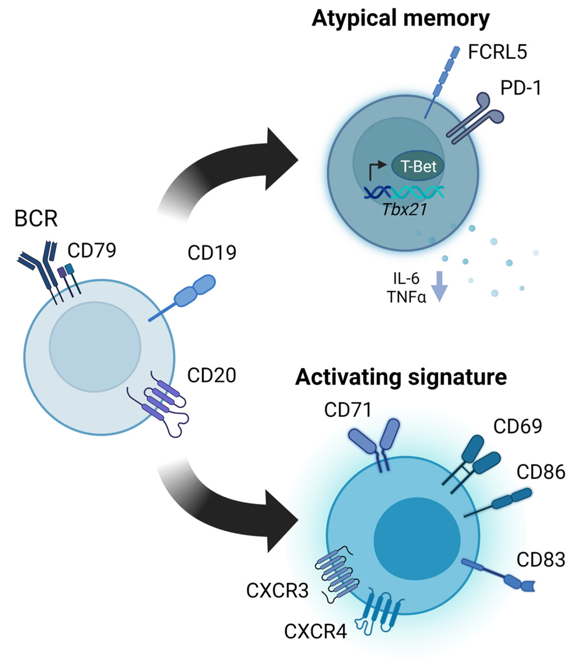 Pathogens 12 00815 g003