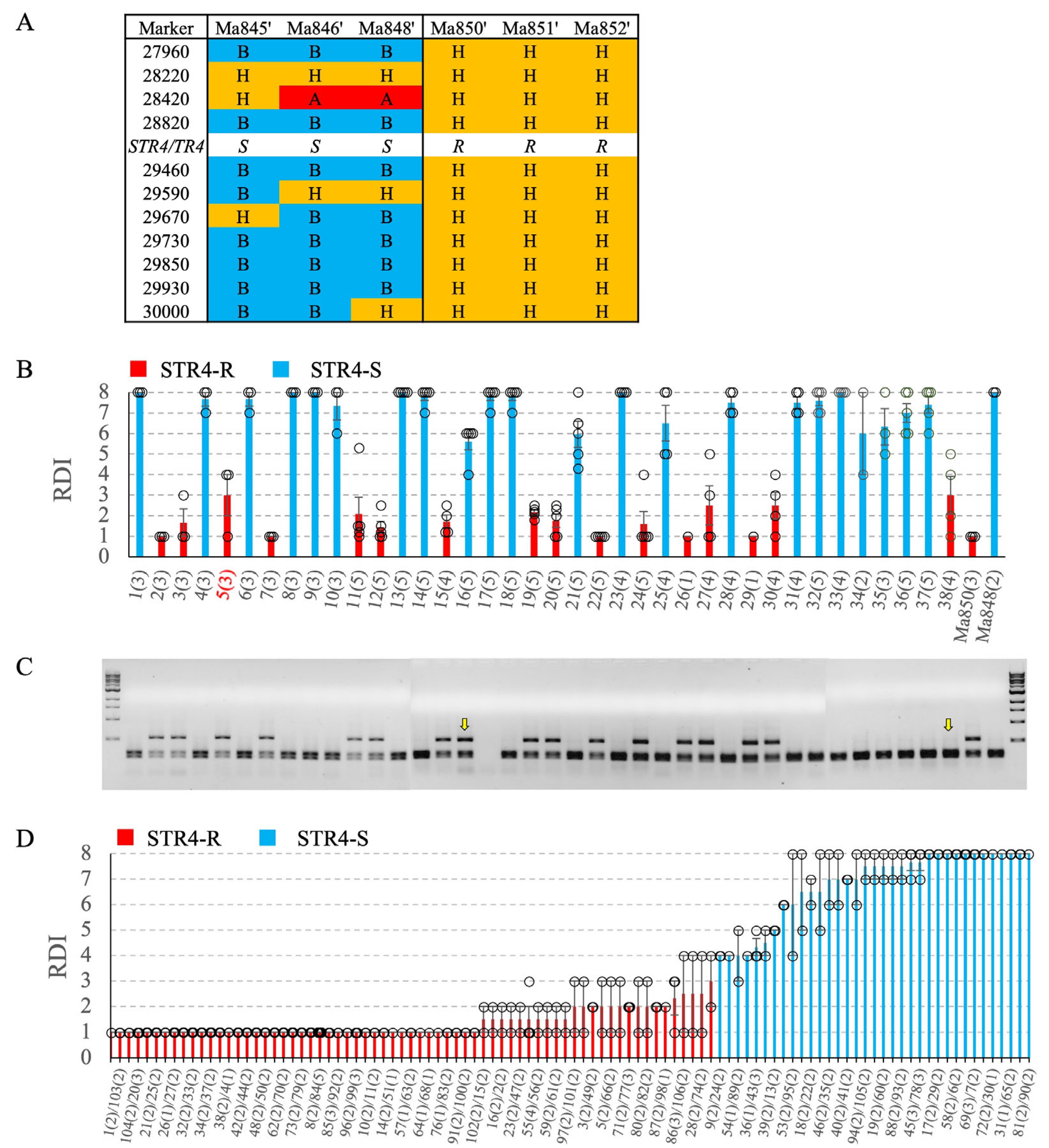 Pathogens 12 00820 g005