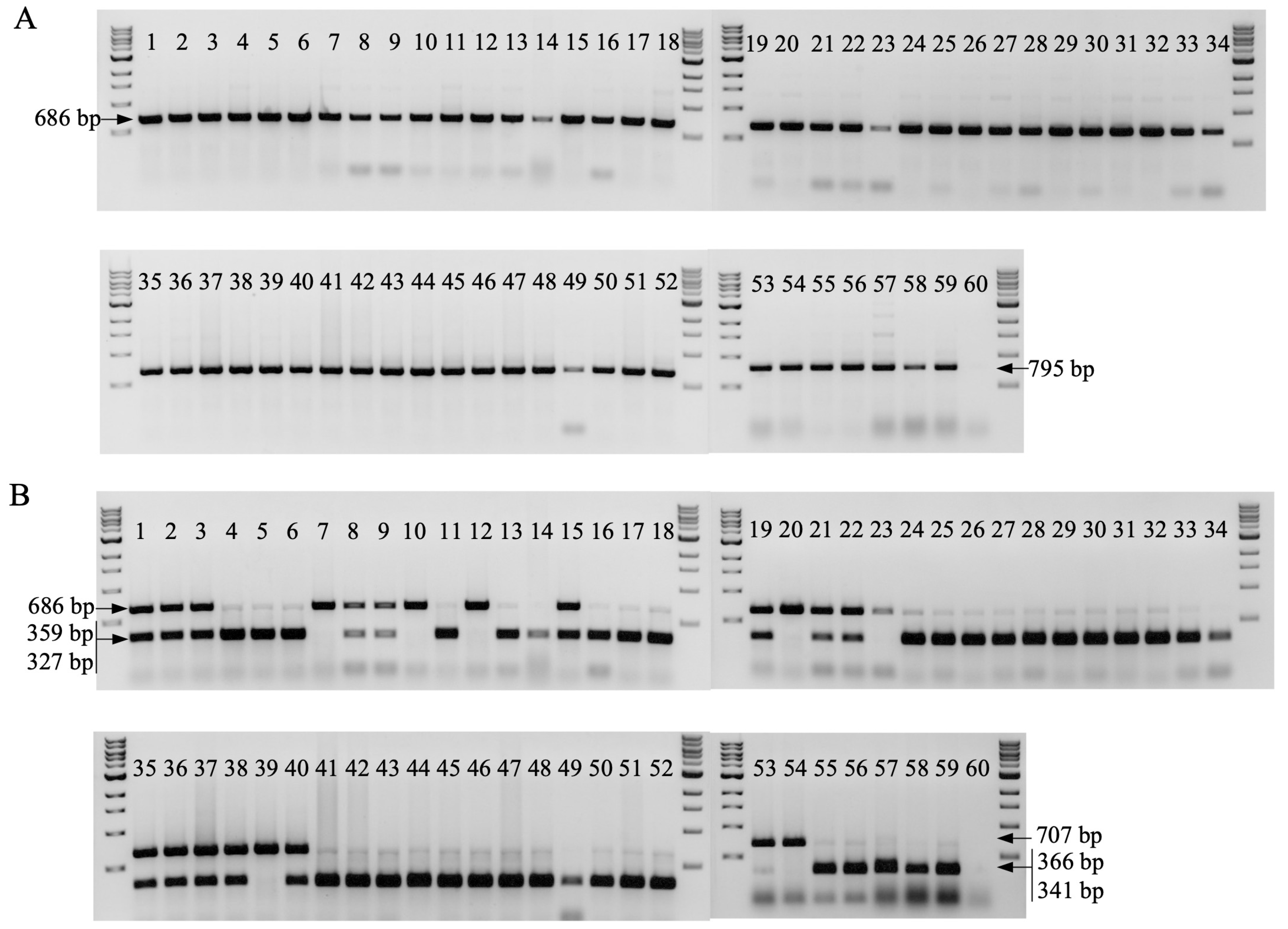 Pathogens 12 00820 g006