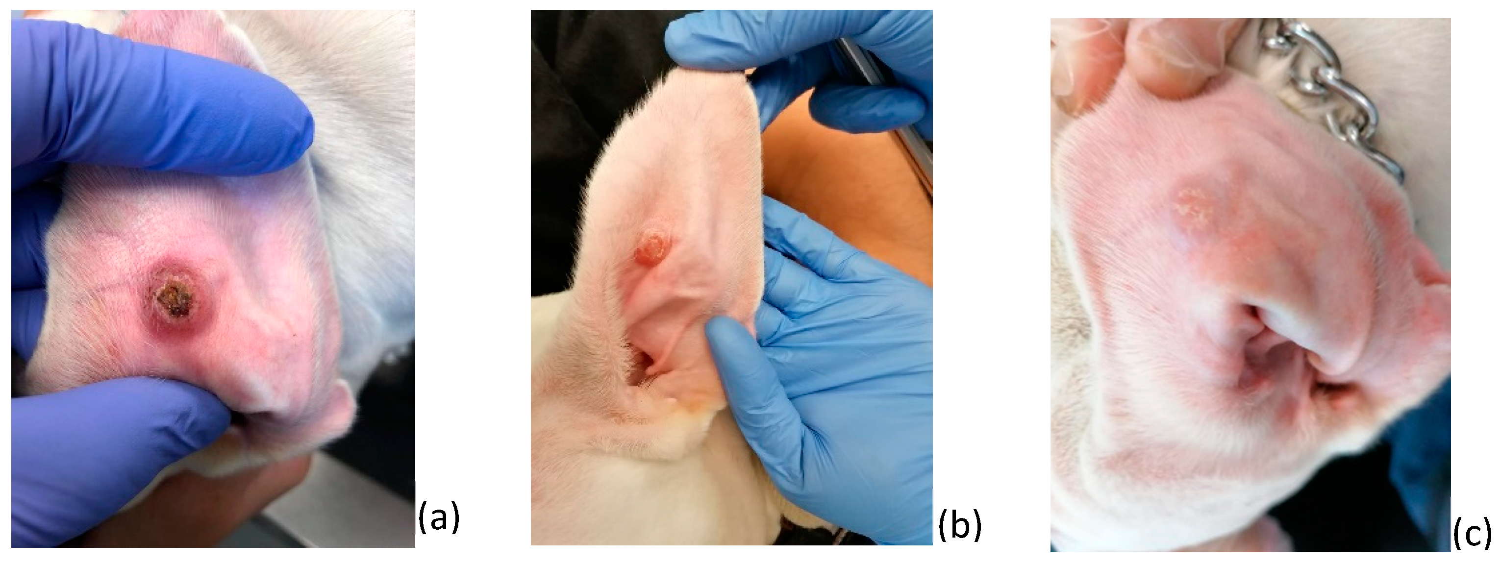 Pathogens 12 00821 g001