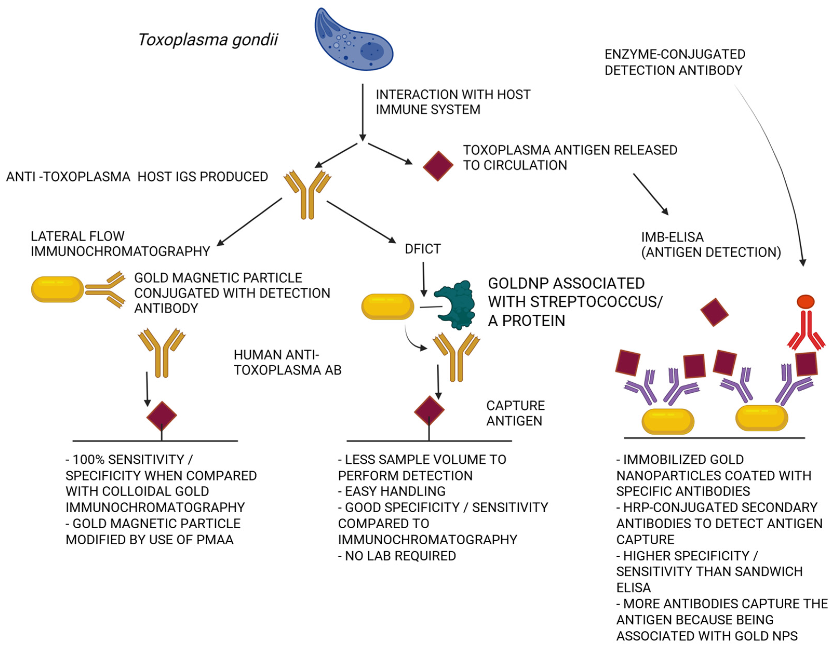 Pathogens 12 00838 g002