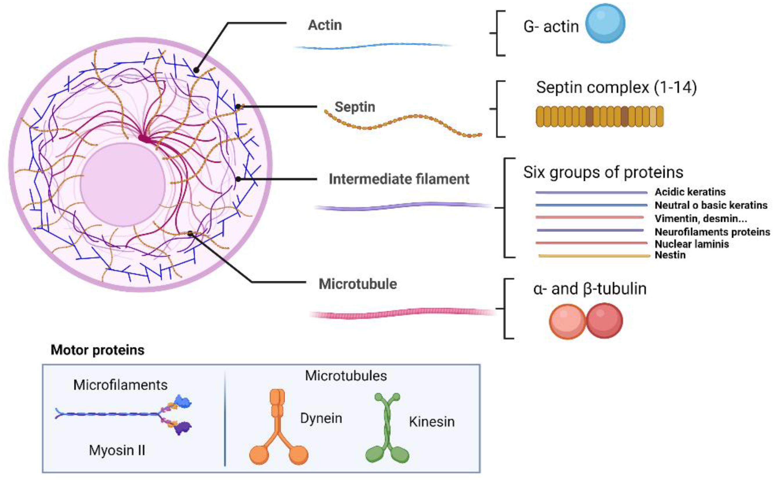 Pathogens 12 00840 g001 Pathogens 12 00840 g001