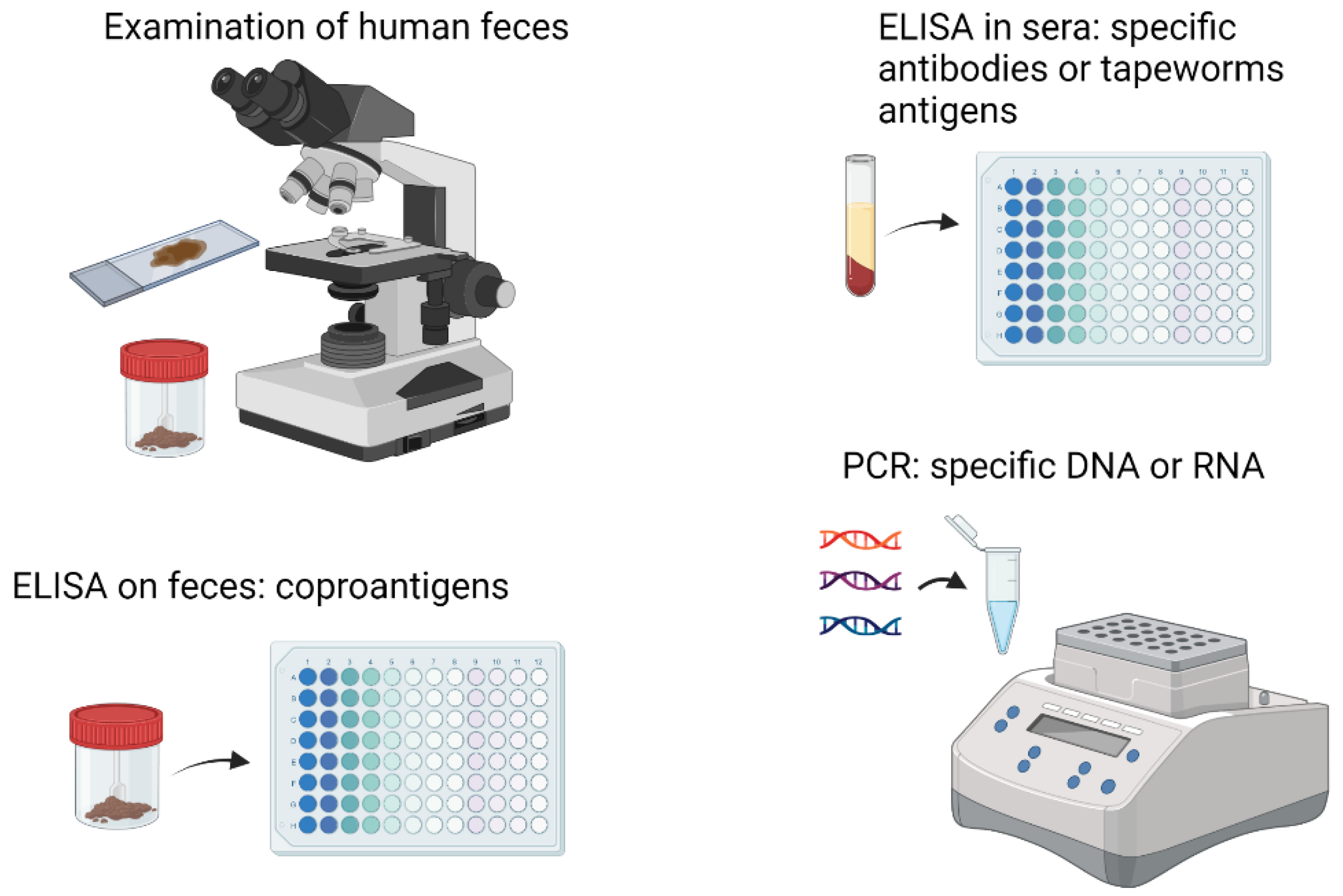 Pathogens 12 00840 g003 Pathogens 12 00840 g003