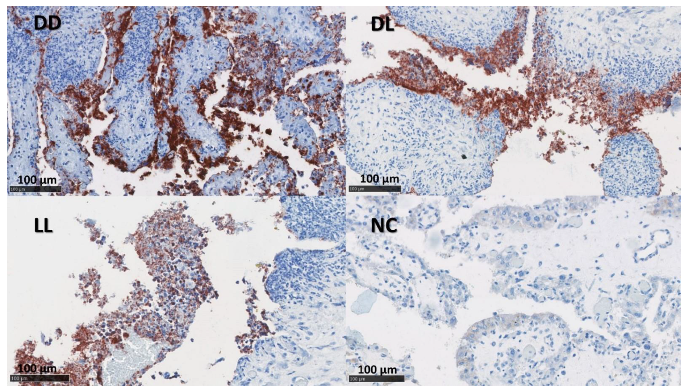 Pathogens 12 00846 g002