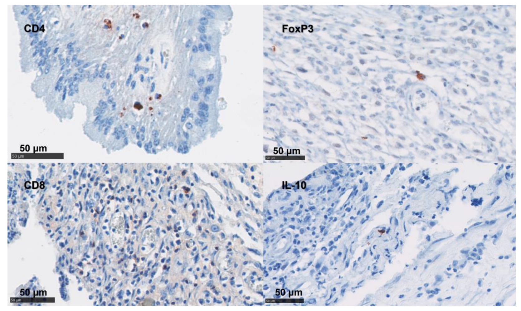 Pathogens 12 00846 g004