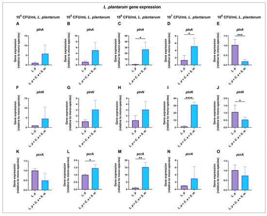 Pathogens 12 00848 g005