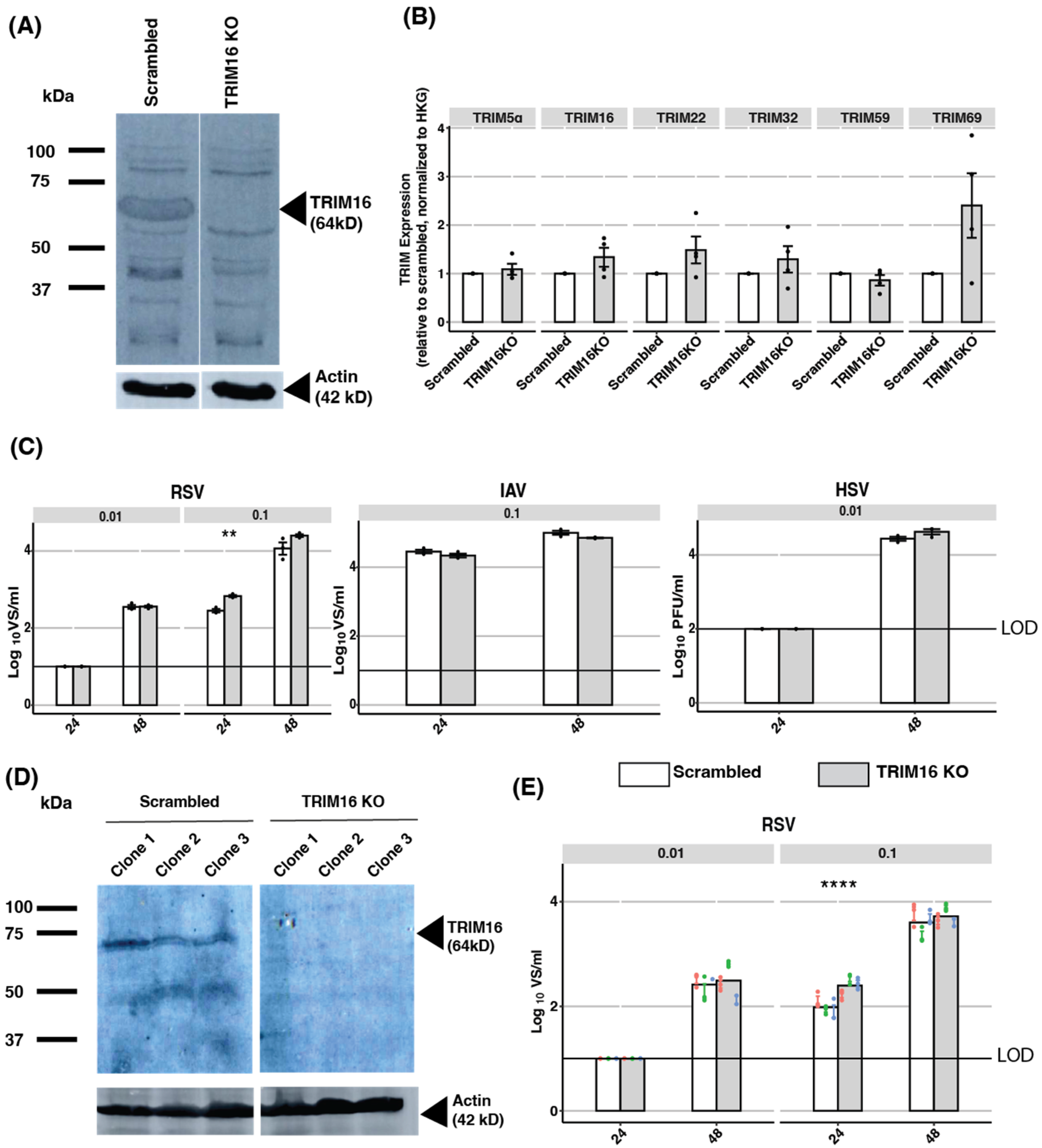 Pathogens 12 00852 g004