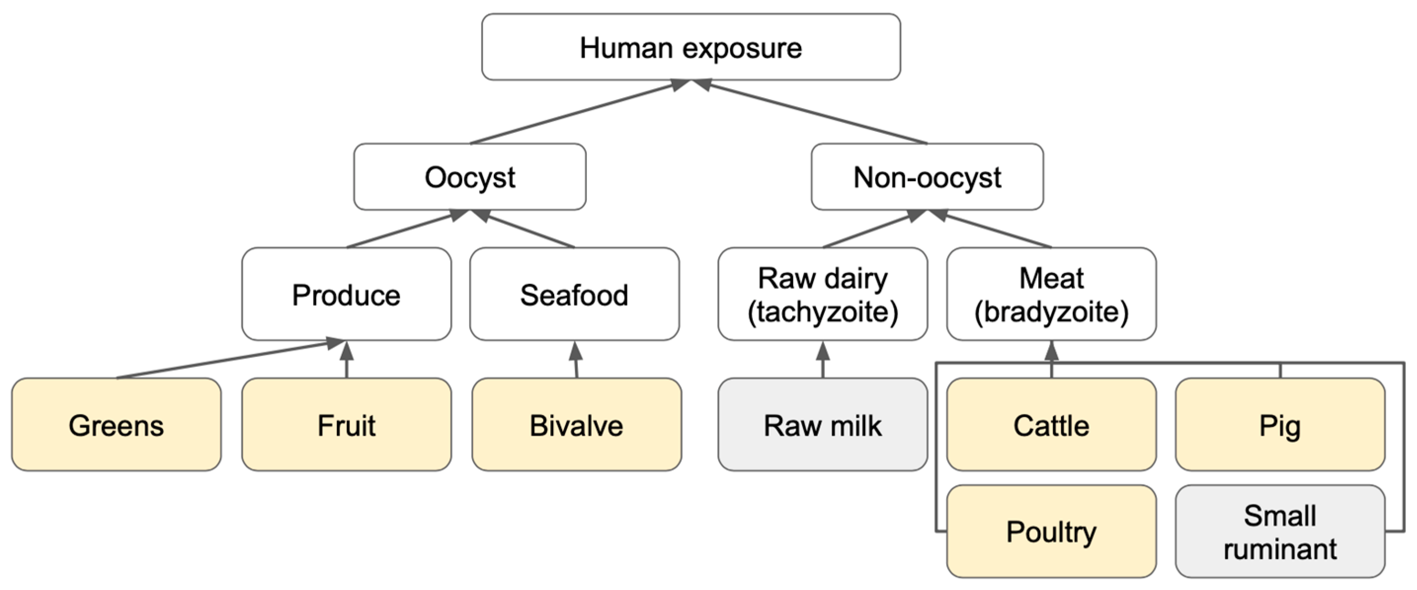Pathogens 12 00870 g001