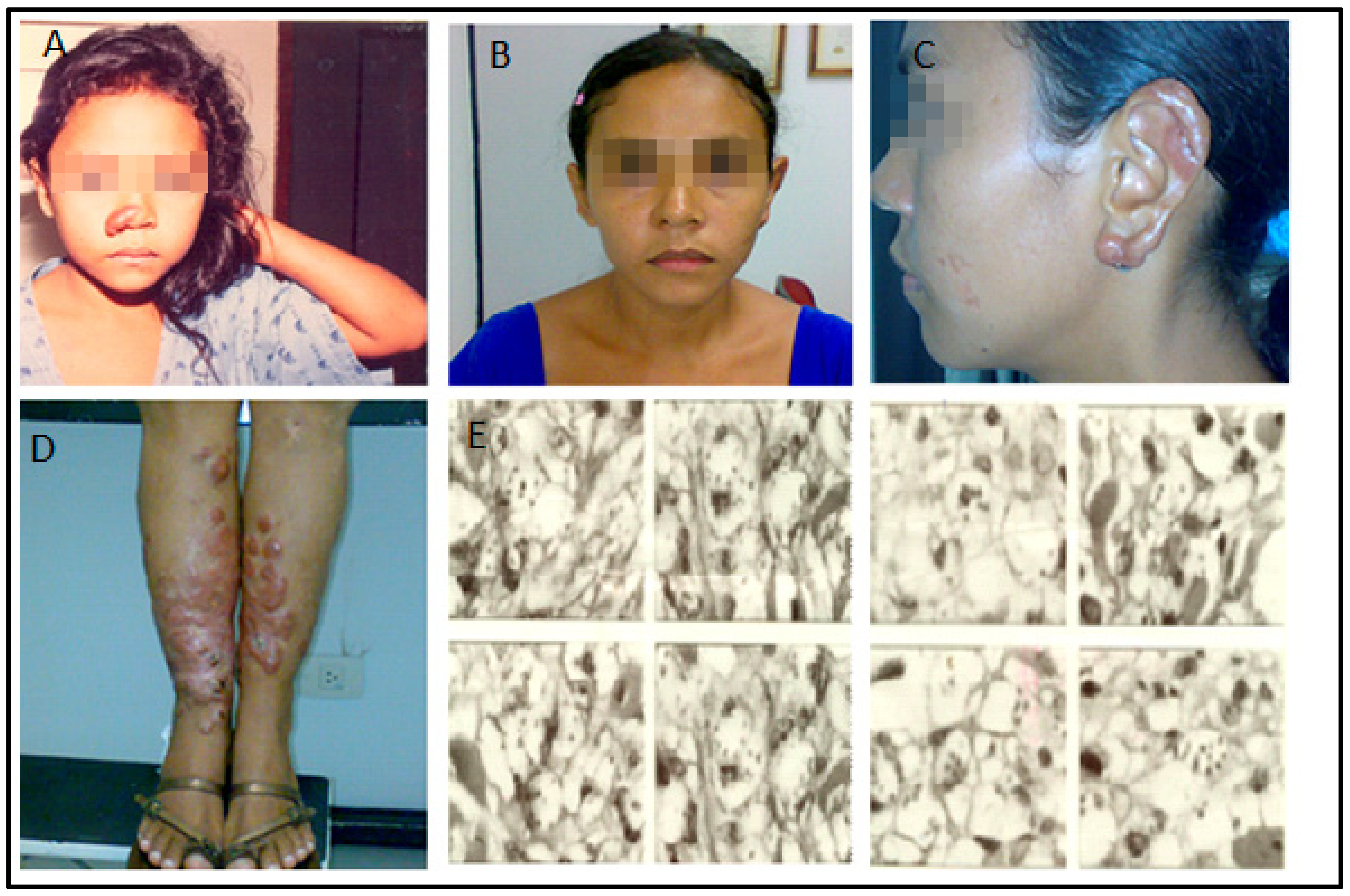 Pathogens 12 00890 g001 Pathogens 12 00890 g001