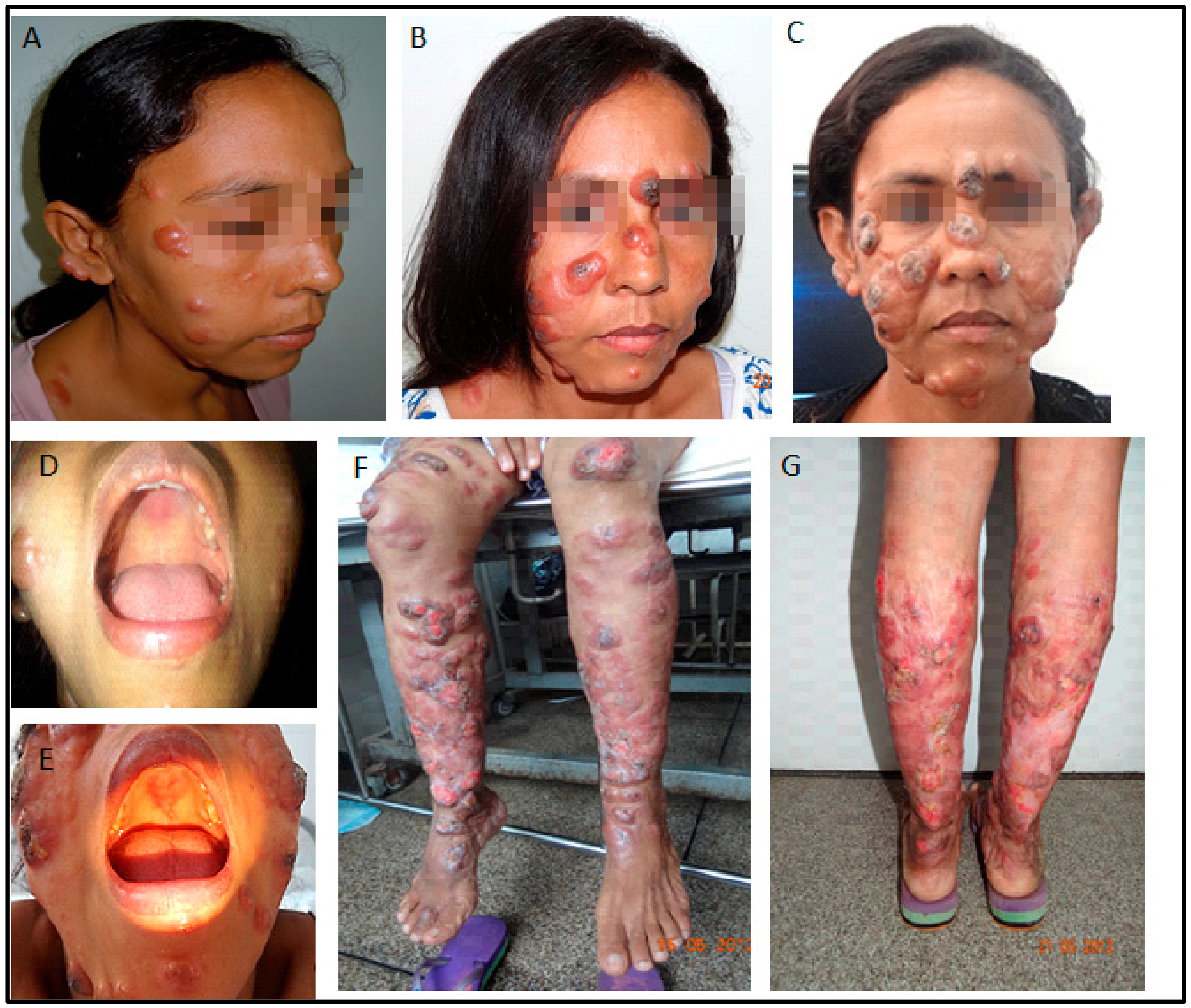 Pathogens 12 00890 g002 Pathogens 12 00890 g002