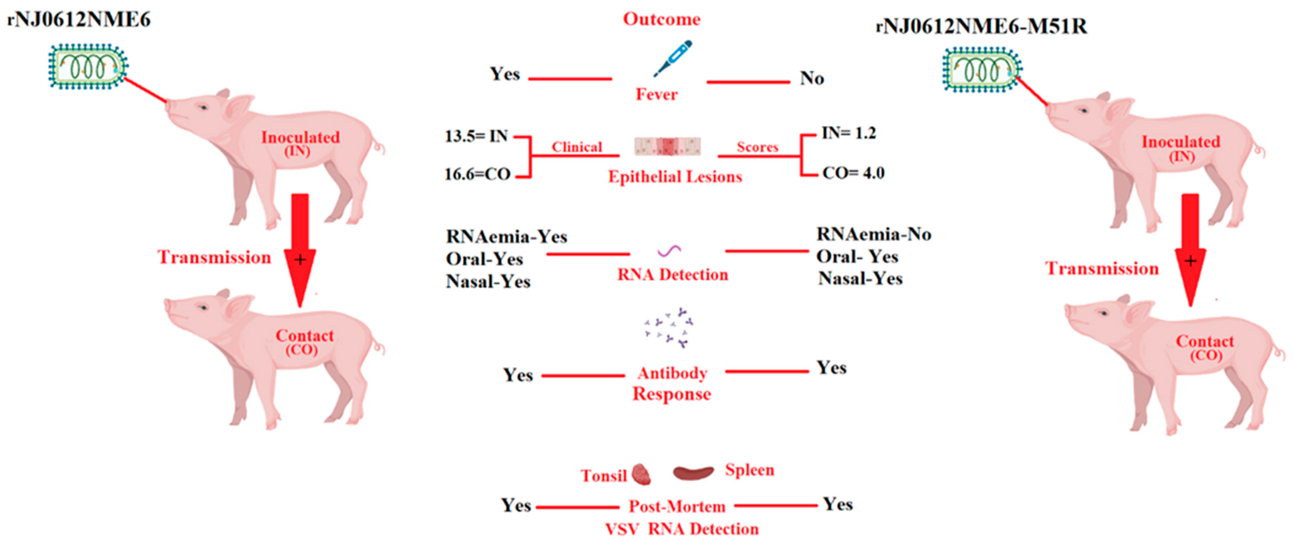 Pathogens 12 00896 g001 Pathogens 12 00896 g001