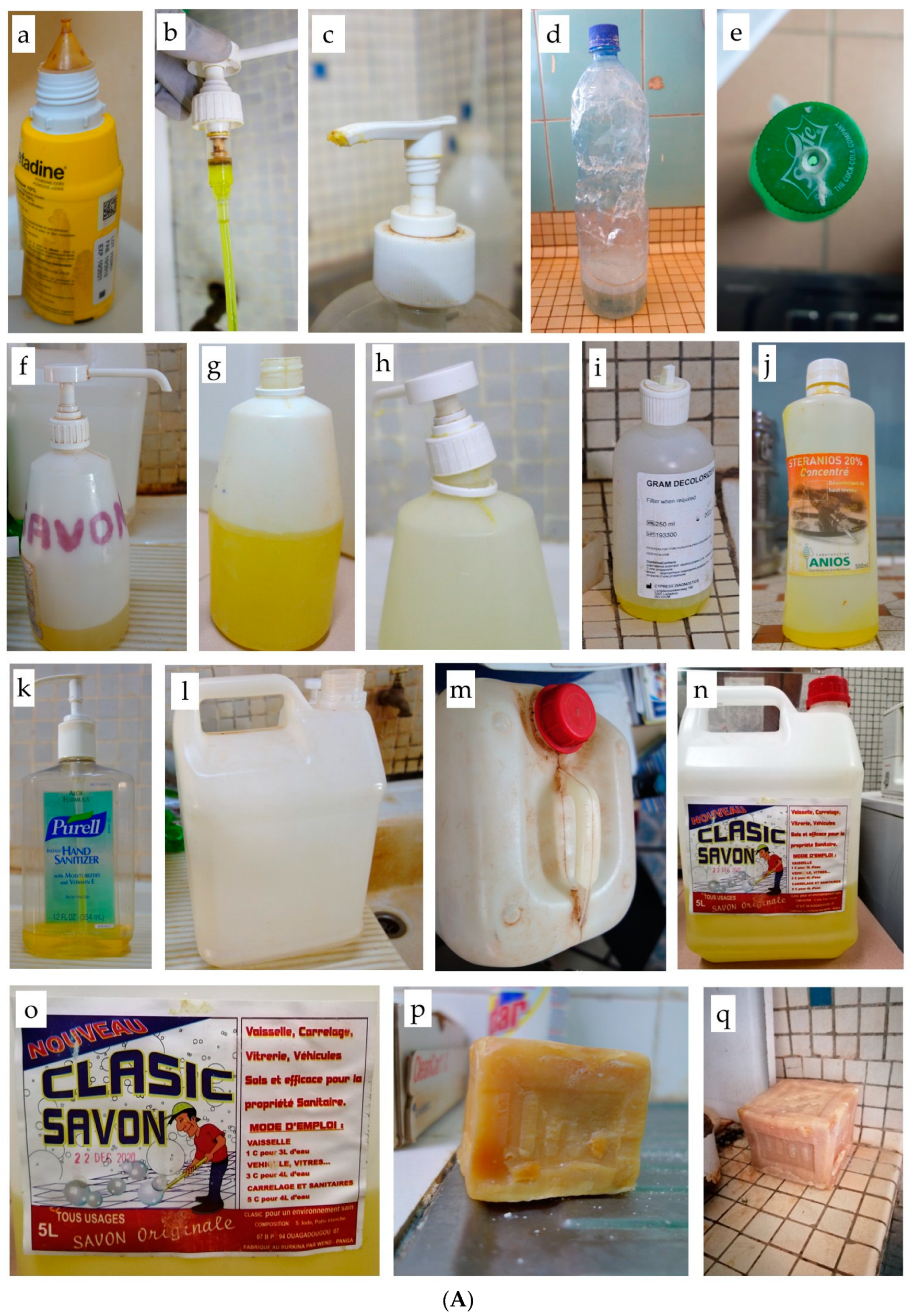 Pathogens 12 00917 g001a