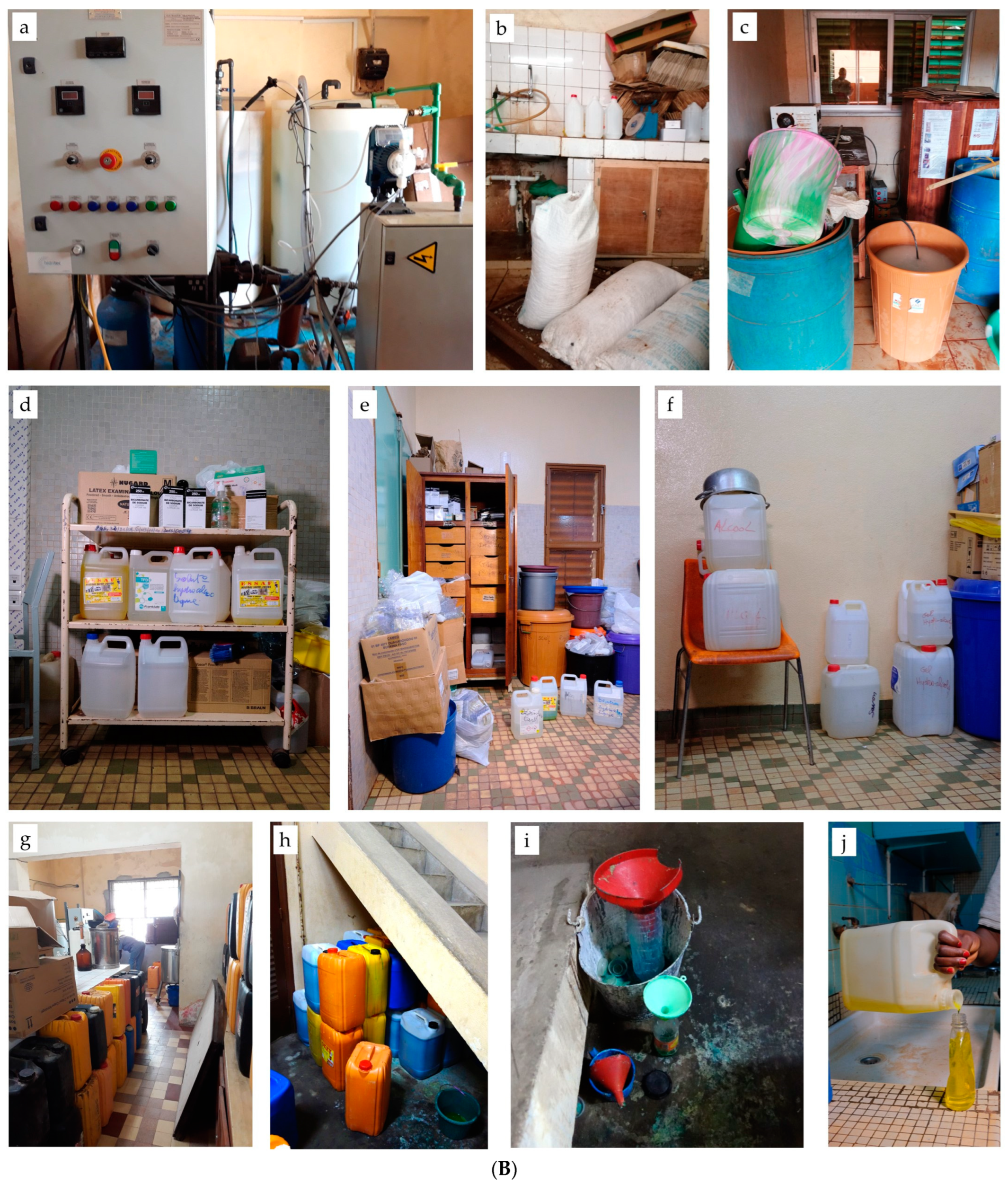 Pathogens 12 00917 g001b