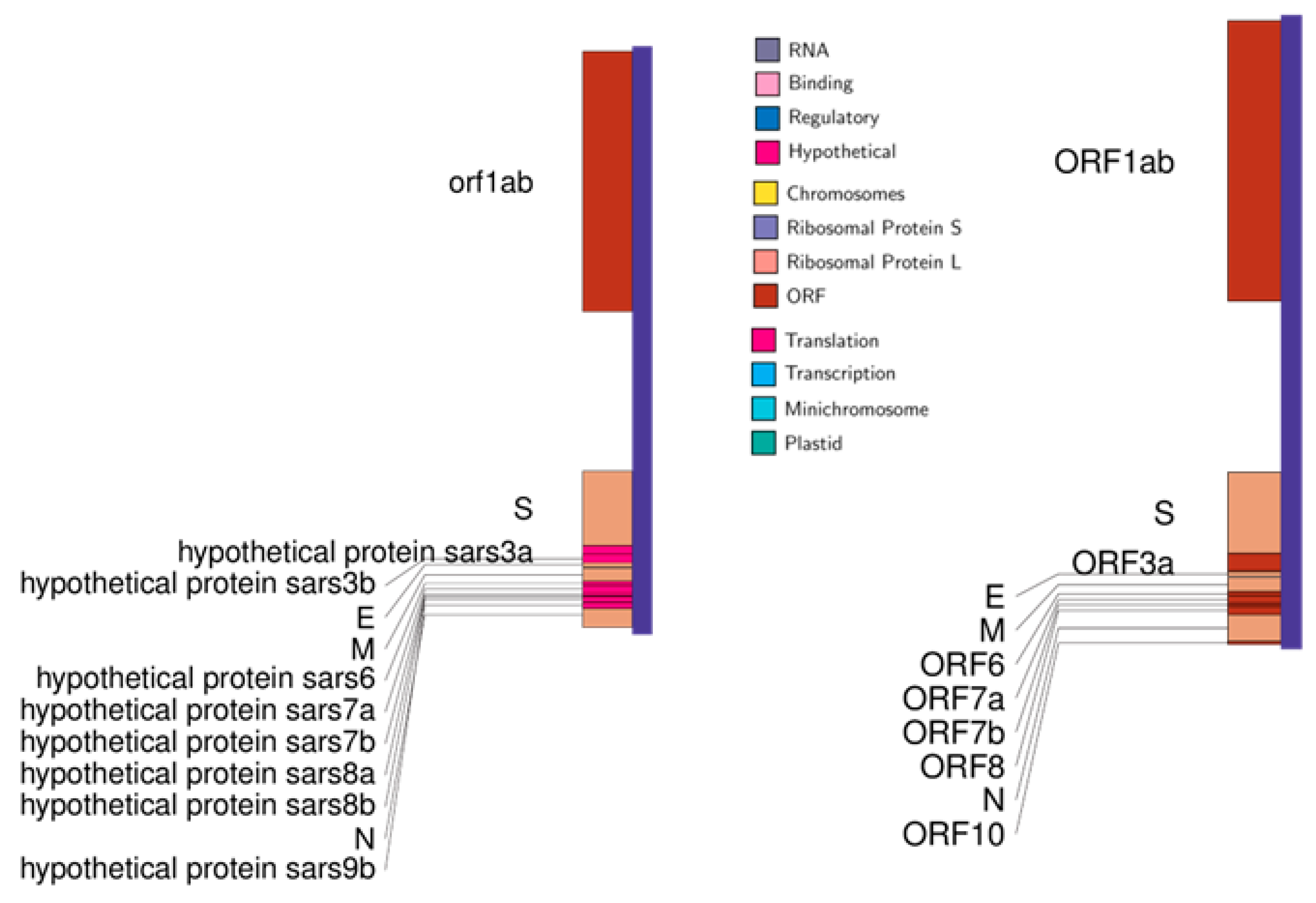 Pathogens 12 00926 g002 Pathogens 12 00926 g002