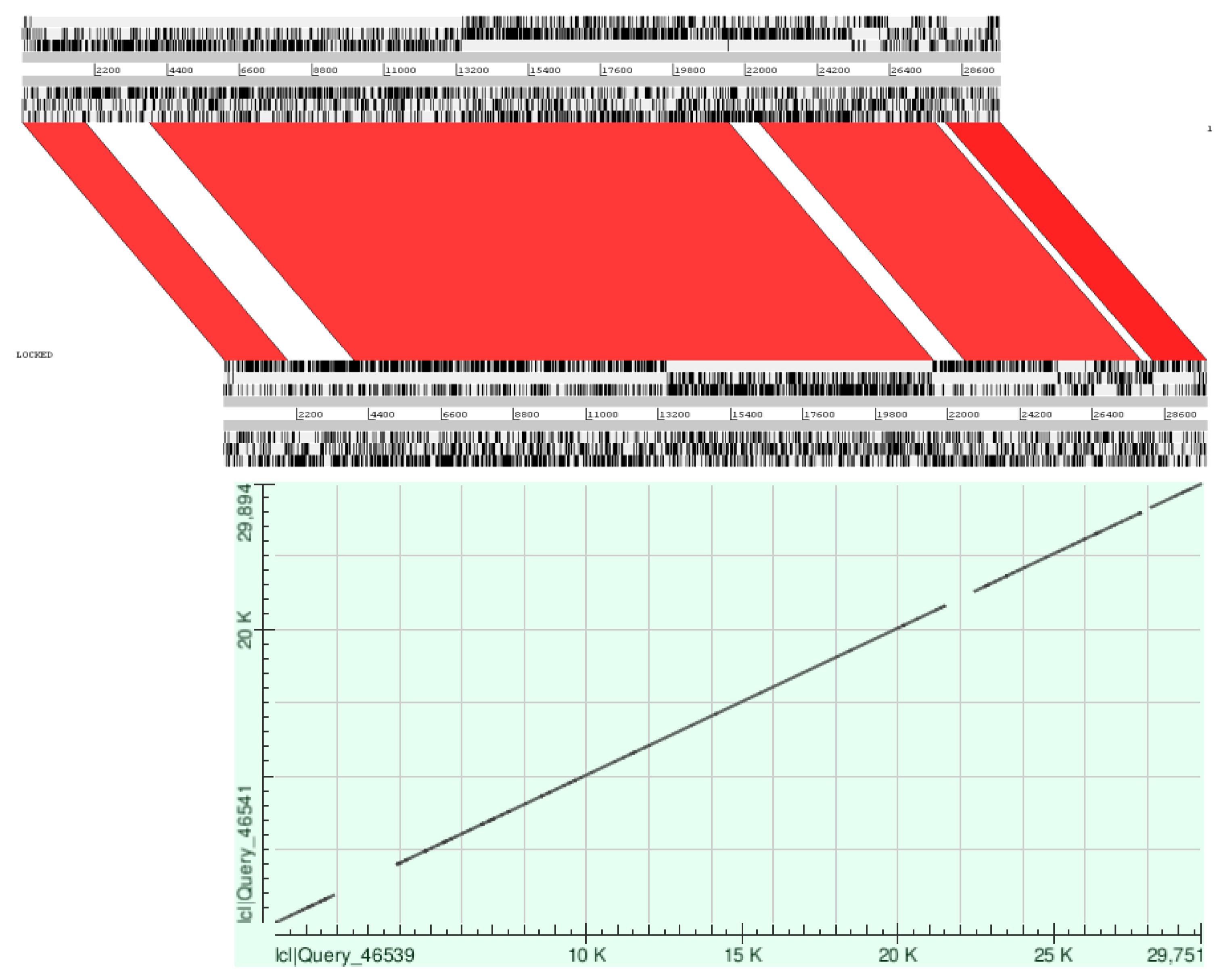 Pathogens 12 00926 g003 Pathogens 12 00926 g003