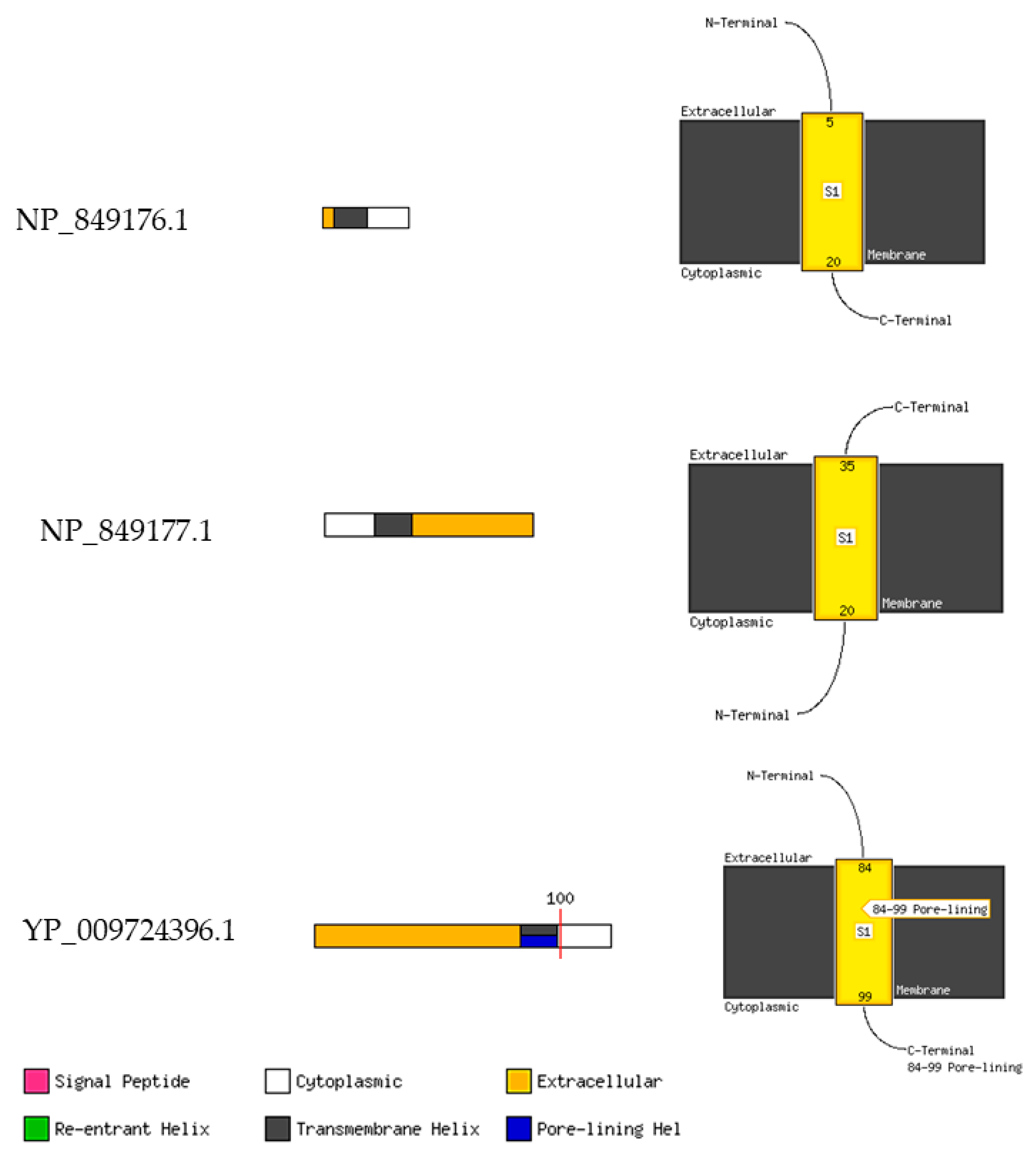 Pathogens 12 00926 g010 Pathogens 12 00926 g010