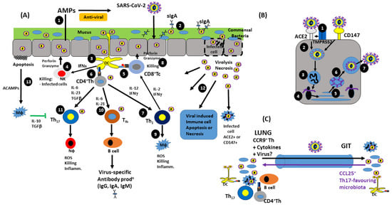 Pathogens 12 00928 g001