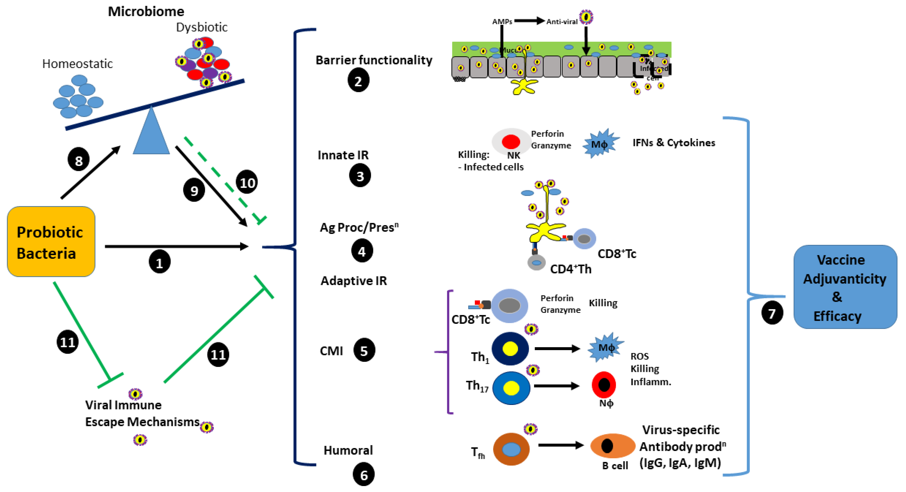 Pathogens 12 00928 g002